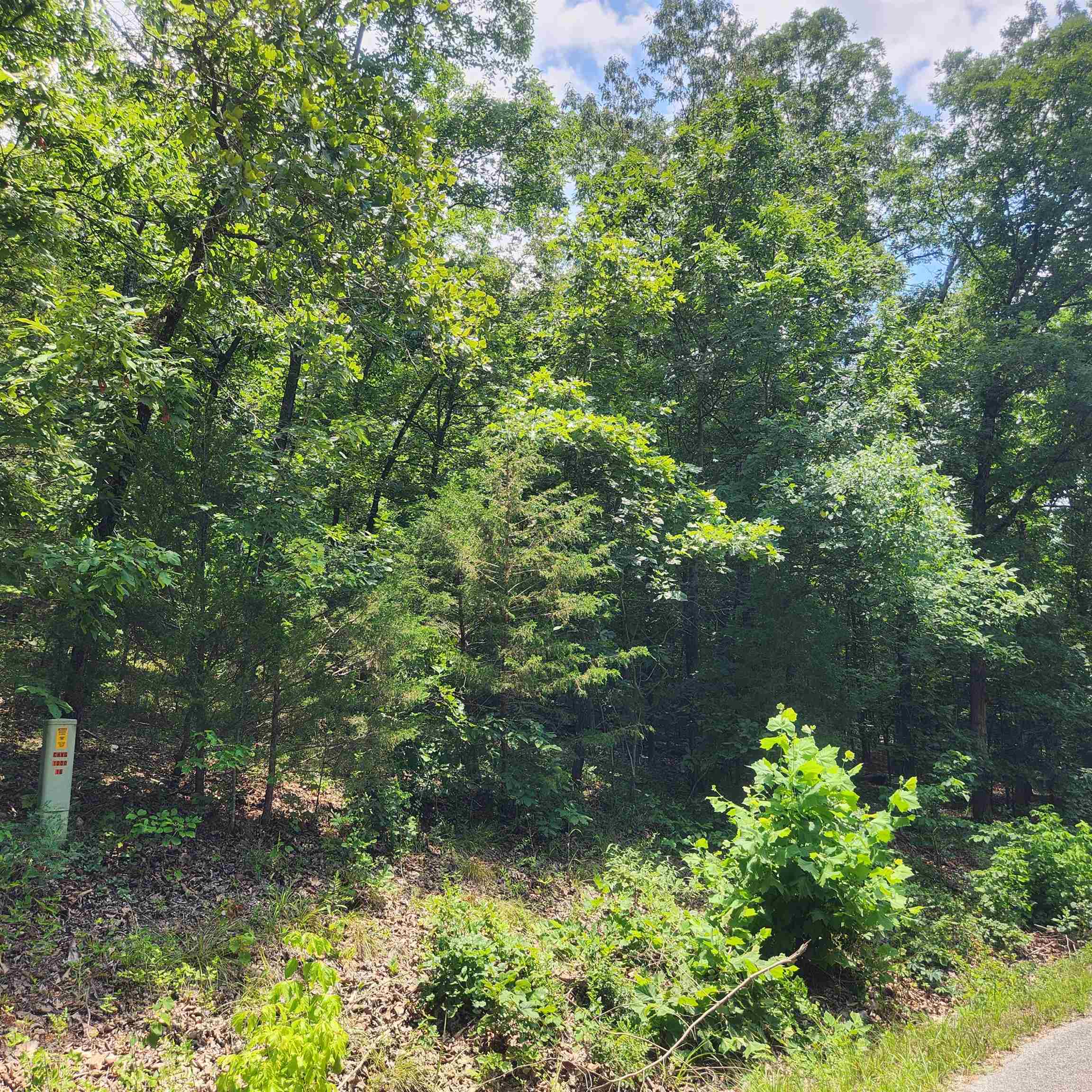 Vacant Land for sale – L-15, B-13A  Cochise   Cherokee Village, AR