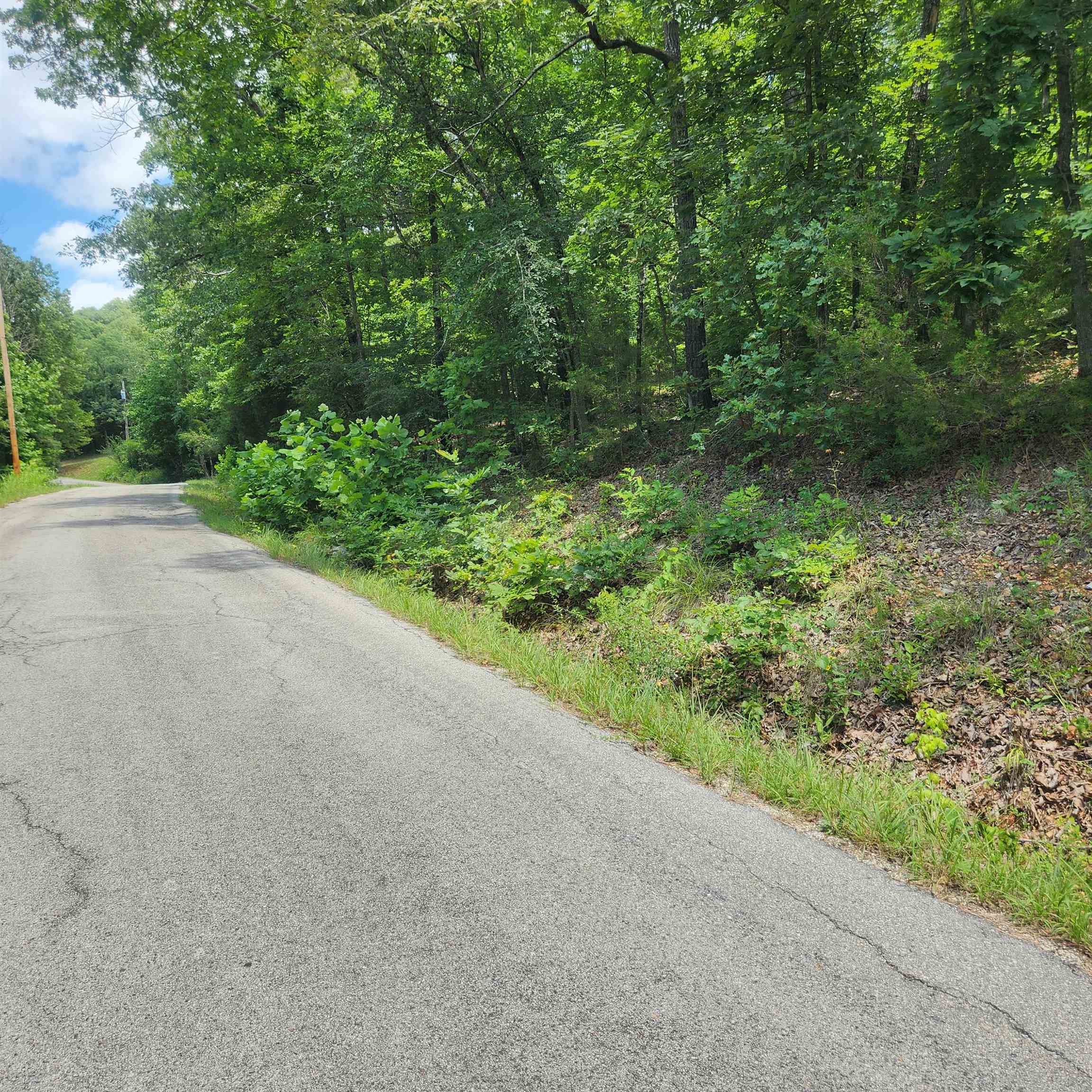 Photo 2 - Vacant Land for sale – L-15, B-13A  Cochise   Cherokee Village, AR