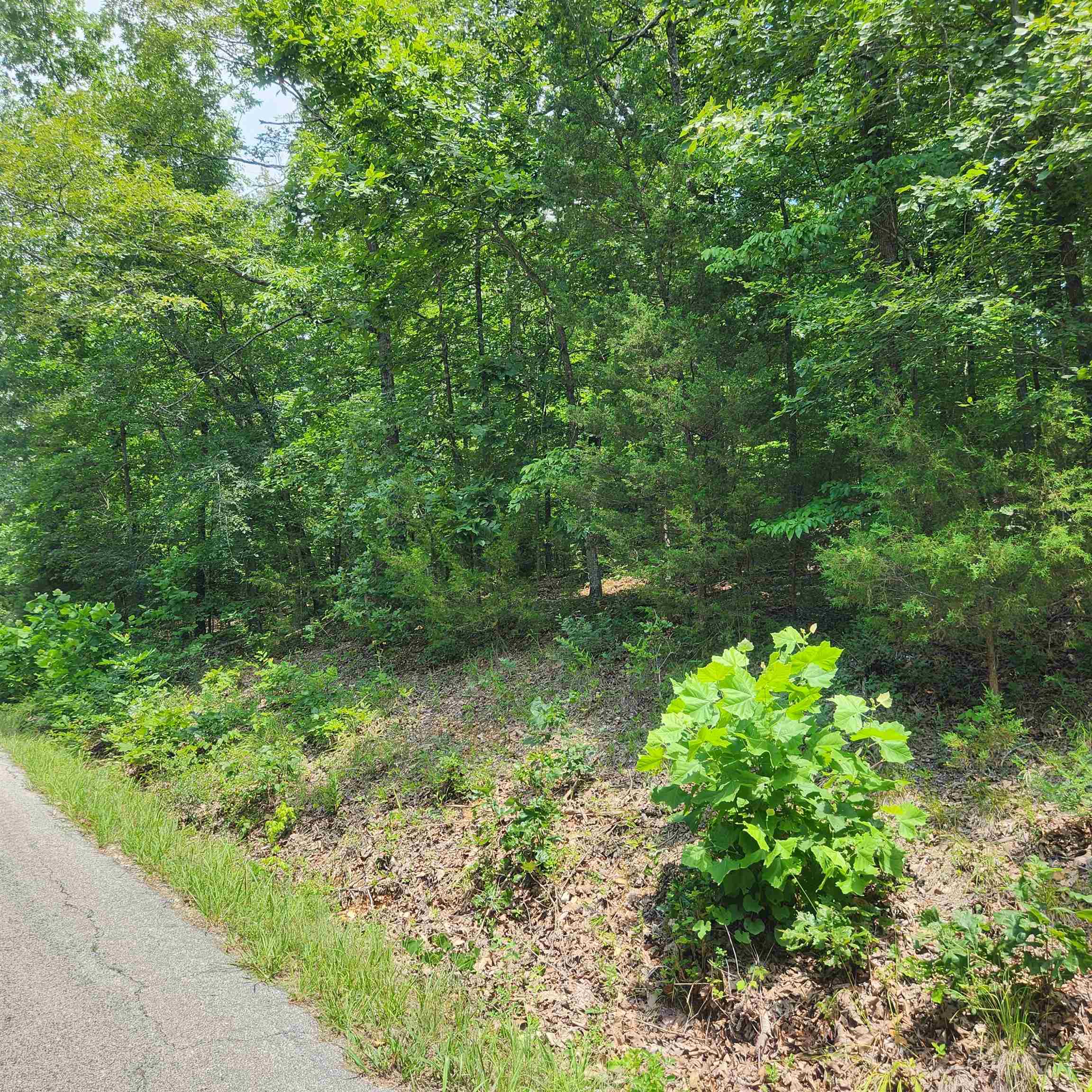 Photo 11 - Vacant Land for sale – L-15, B-13A  Cochise   Cherokee Village, AR