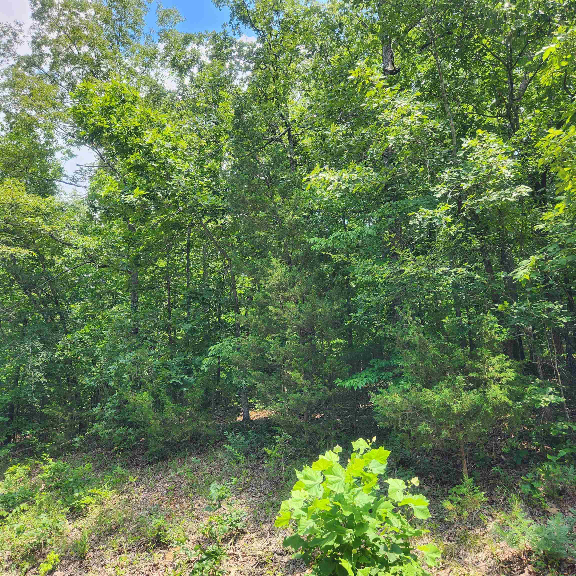 Photo 12 - Vacant Land for sale – L-15, B-13A  Cochise   Cherokee Village, AR