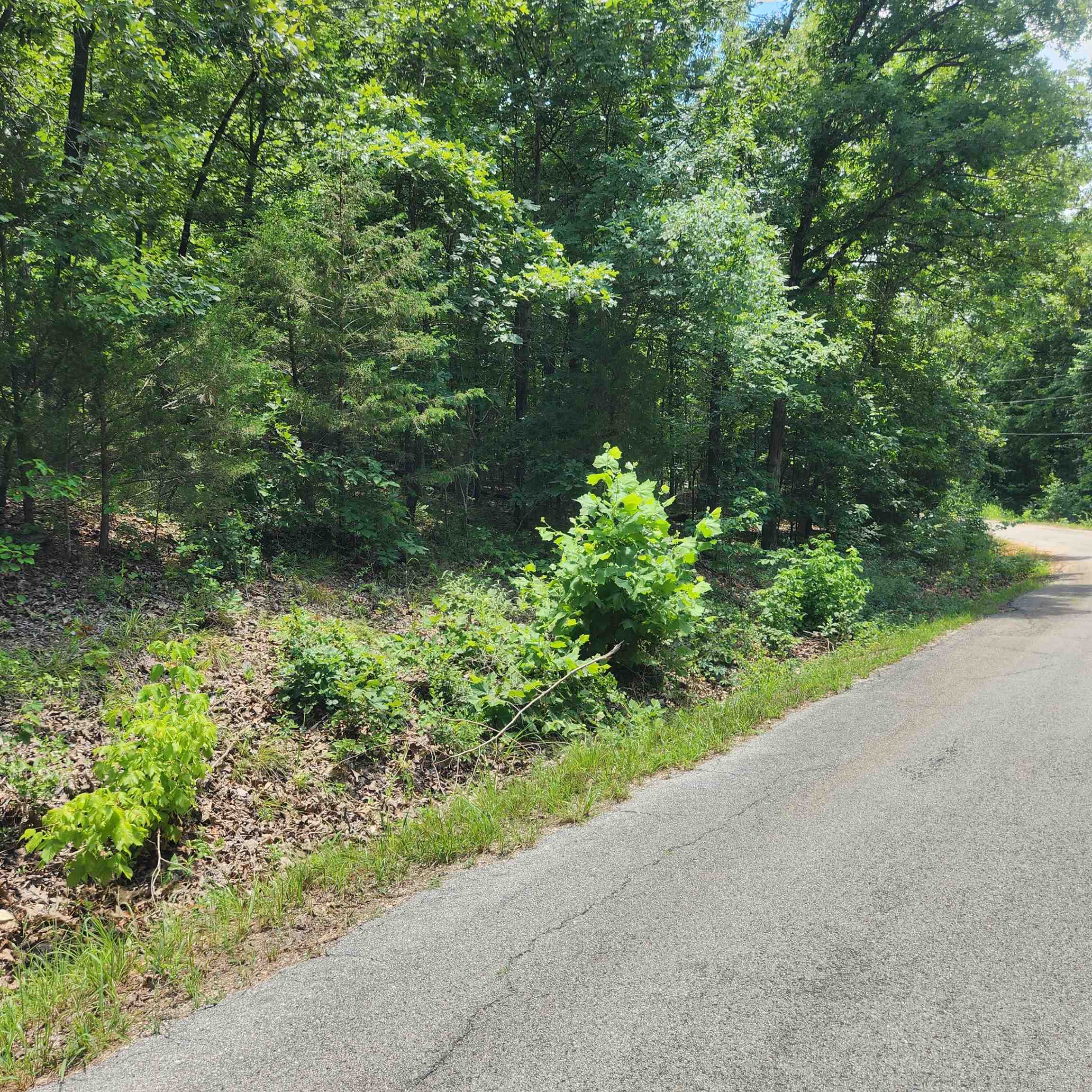 Photo 3 - Vacant Land for sale – L-15, B-13A  Cochise   Cherokee Village, AR