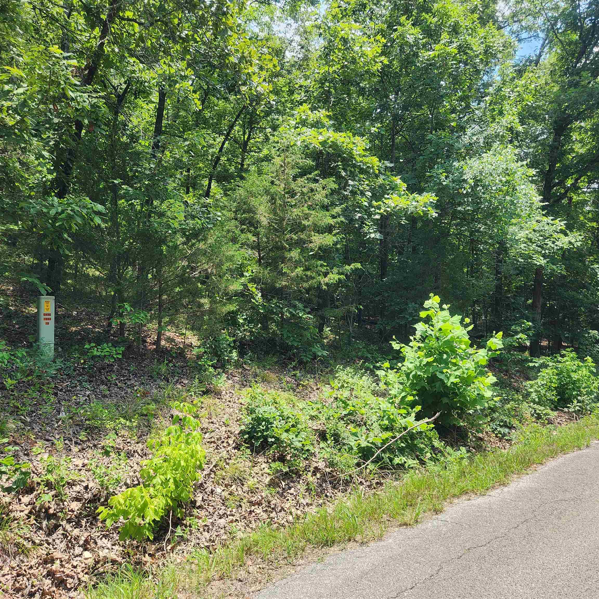 Photo 4 - Vacant Land for sale – L-15, B-13A  Cochise   Cherokee Village, AR