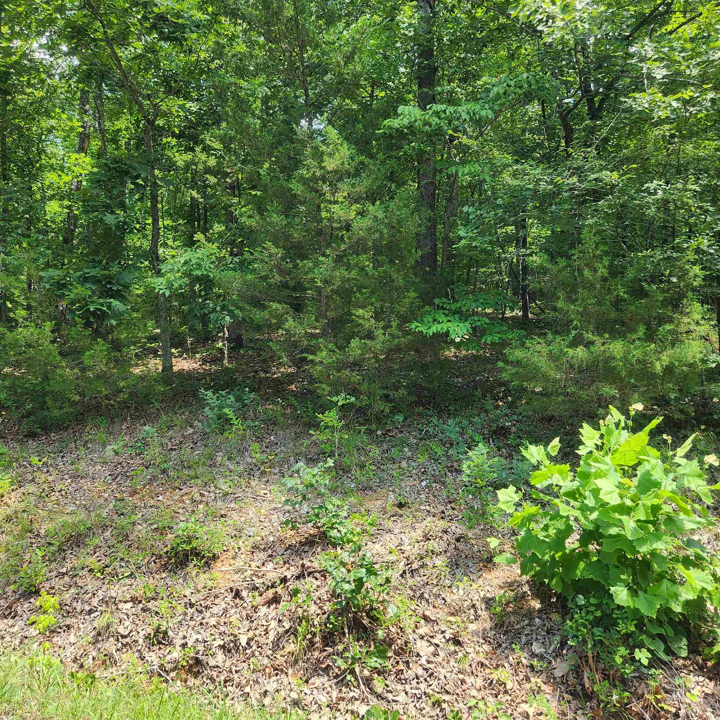 Photo 5 - Vacant Land for sale – L-15, B-13A  Cochise   Cherokee Village, AR