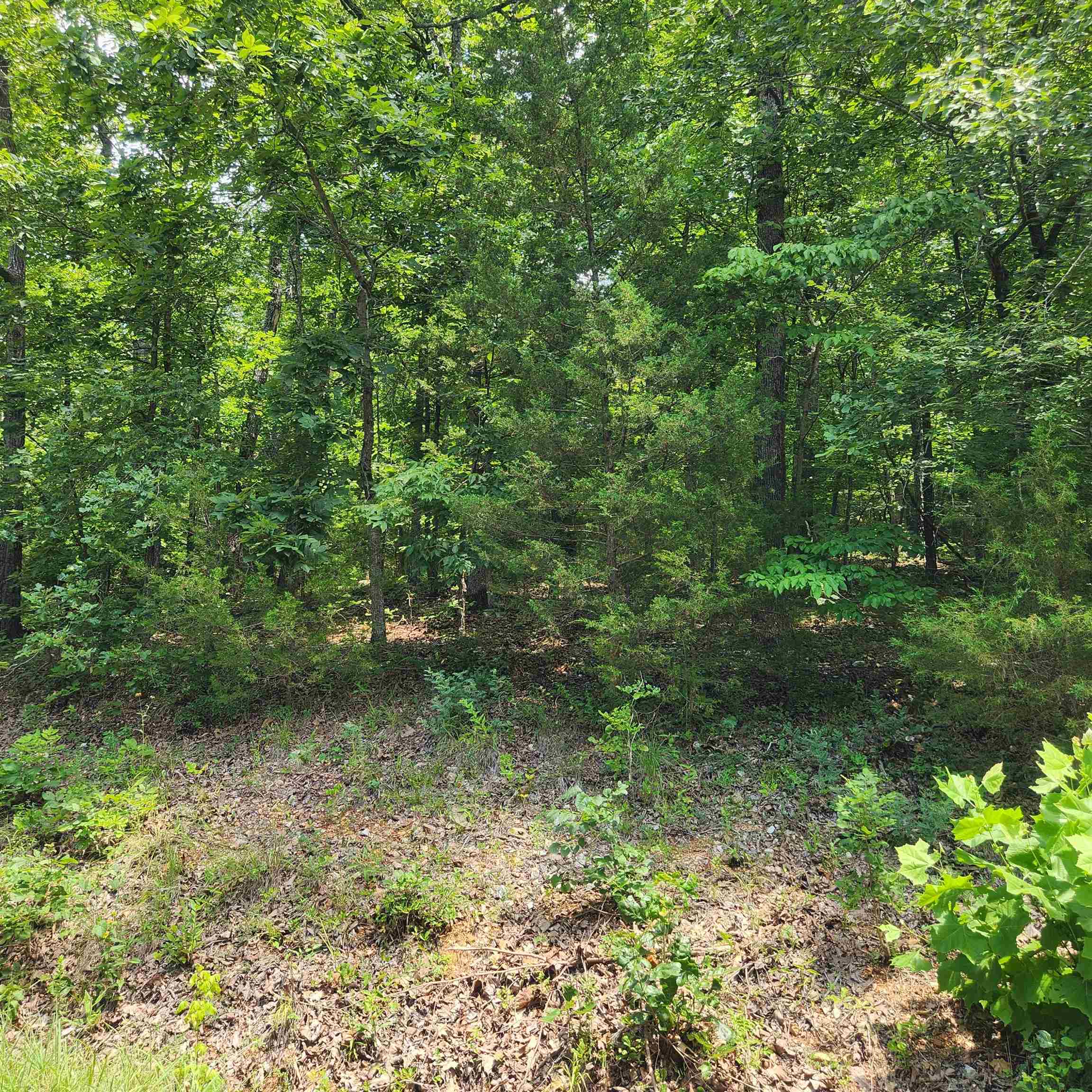 Photo 6 - Vacant Land for sale – L-15, B-13A  Cochise   Cherokee Village, AR