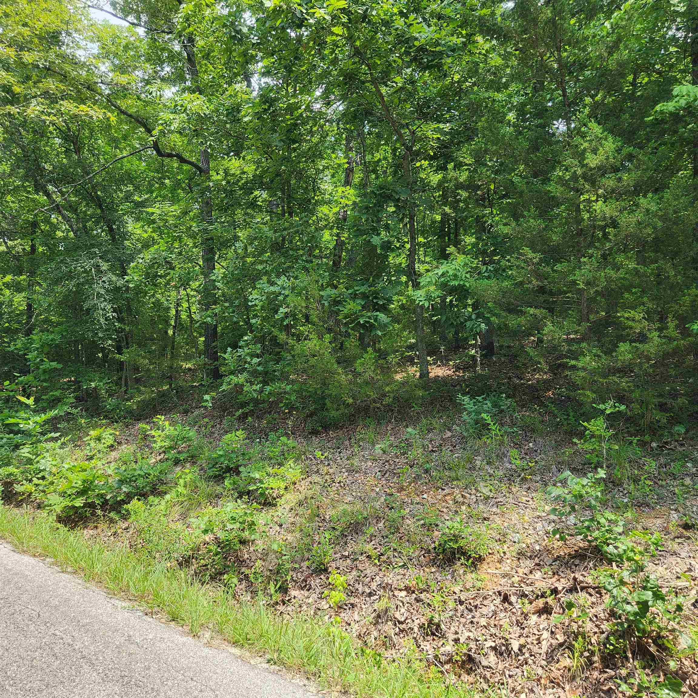 Photo 7 - Vacant Land for sale – L-15, B-13A  Cochise   Cherokee Village, AR