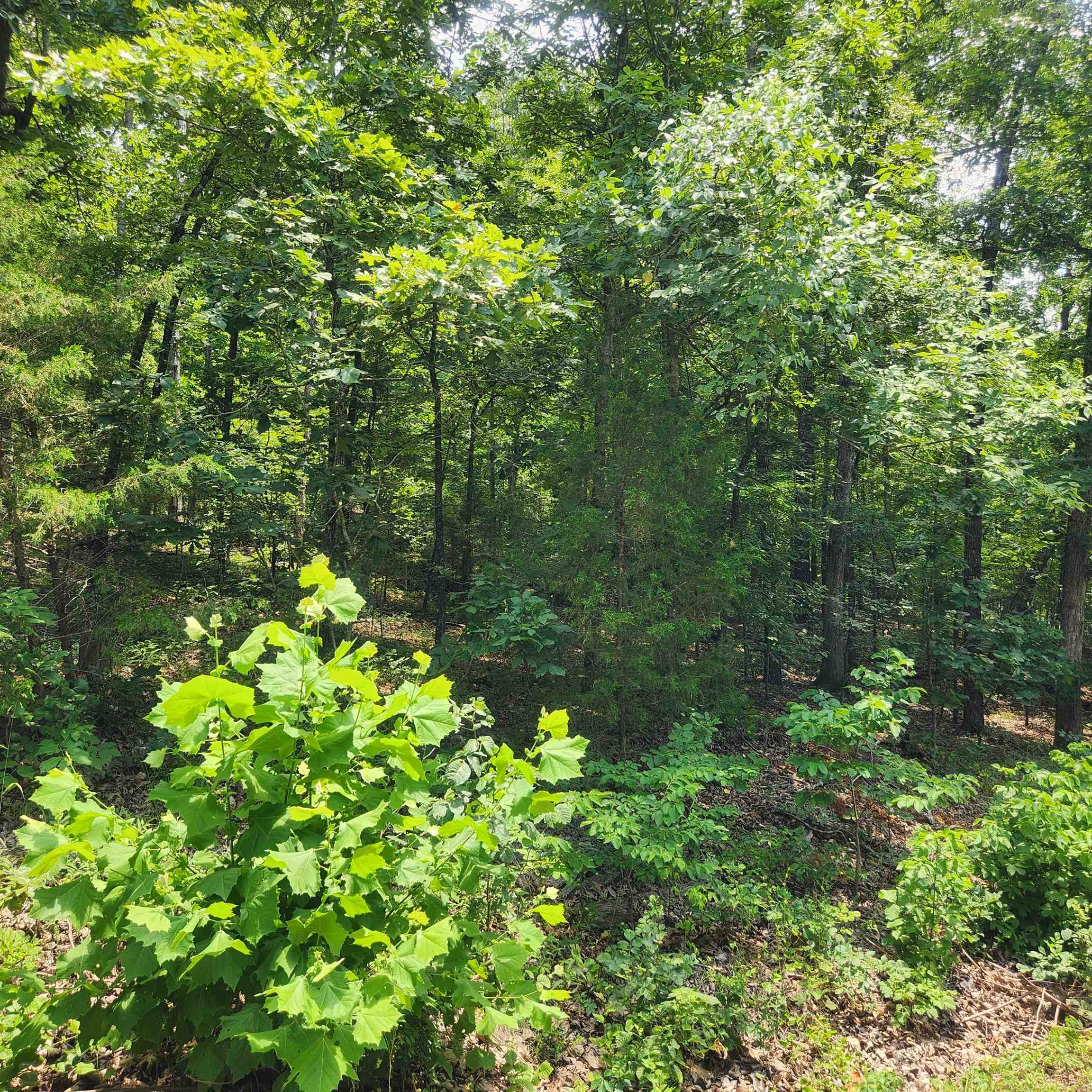 Photo 8 - Vacant Land for sale – L-15, B-13A  Cochise   Cherokee Village, AR