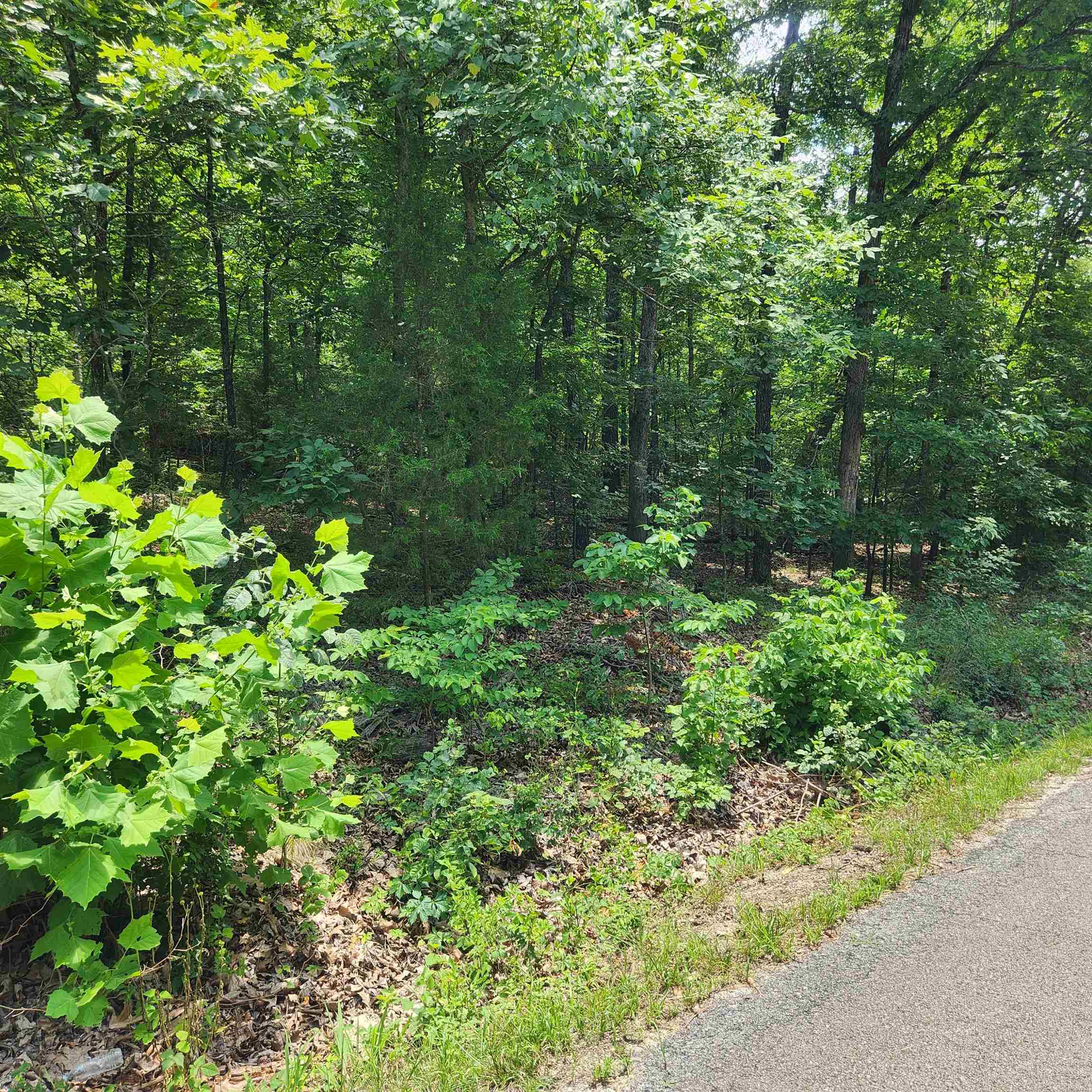 Photo 9 - Vacant Land for sale – L-15, B-13A  Cochise   Cherokee Village, AR