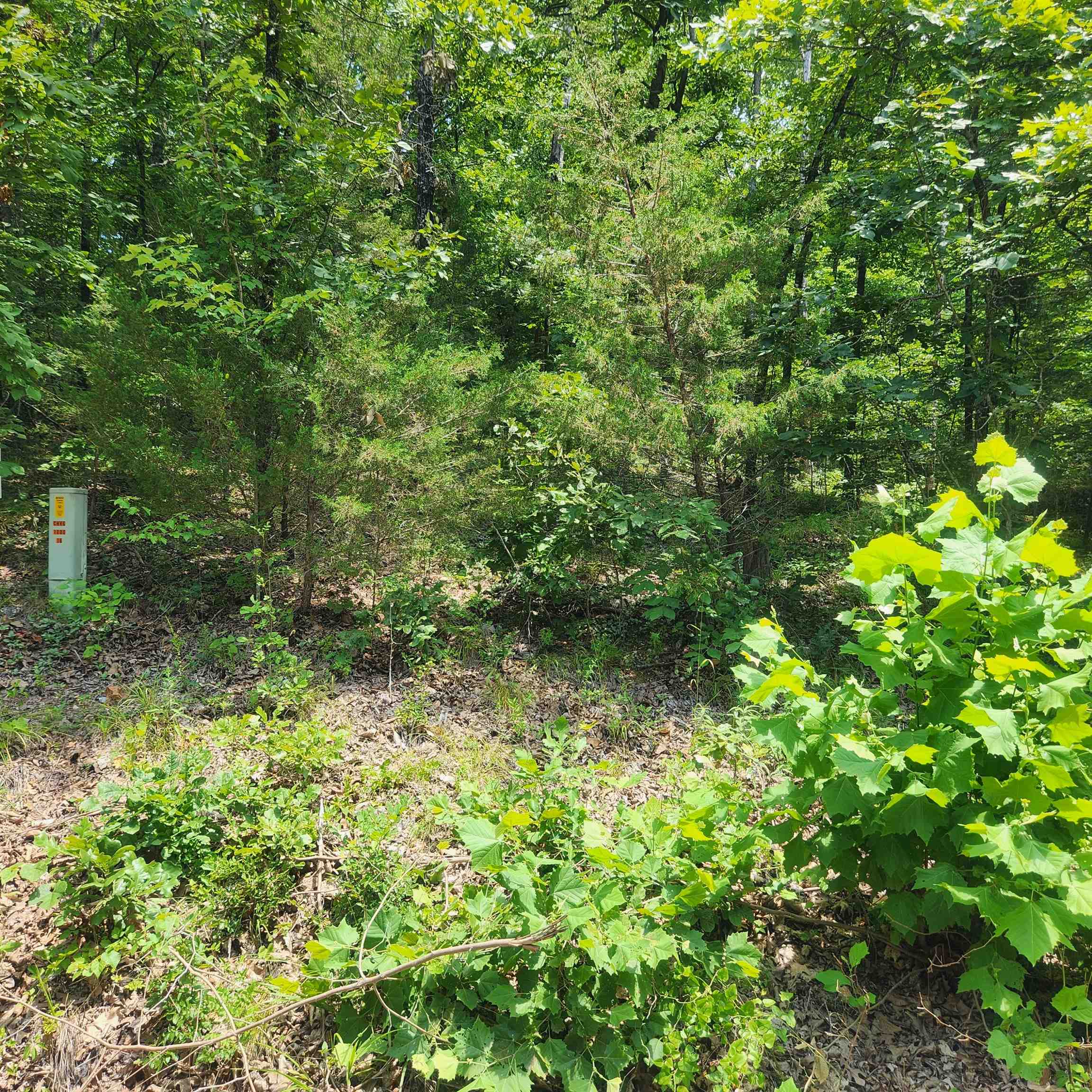 Photo 10 - Vacant Land for sale – L-15, B-13A  Cochise   Cherokee Village, AR