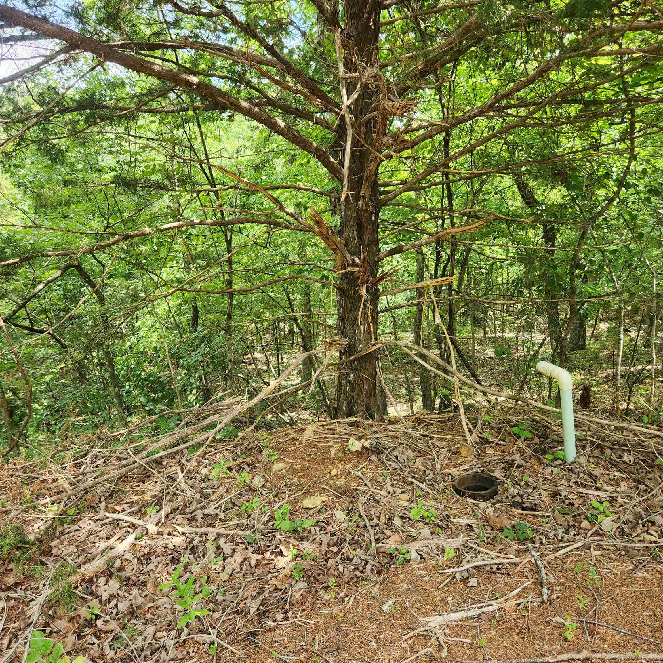 Vacant Land for sale – L-67, B-18  Impa   Cherokee Village, AR