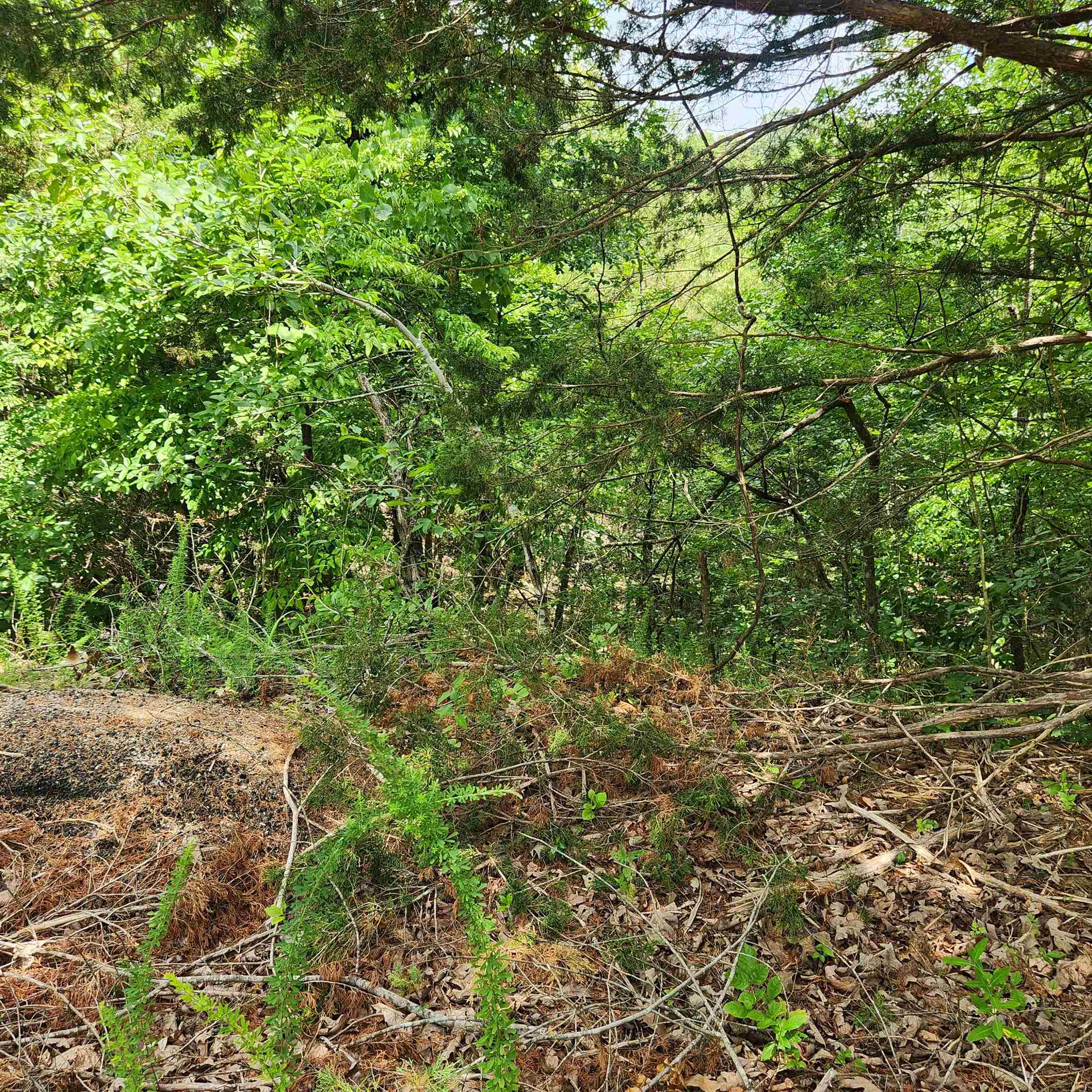 Photo 2 - Vacant Land for sale – L-67, B-18  Impa   Cherokee Village, AR