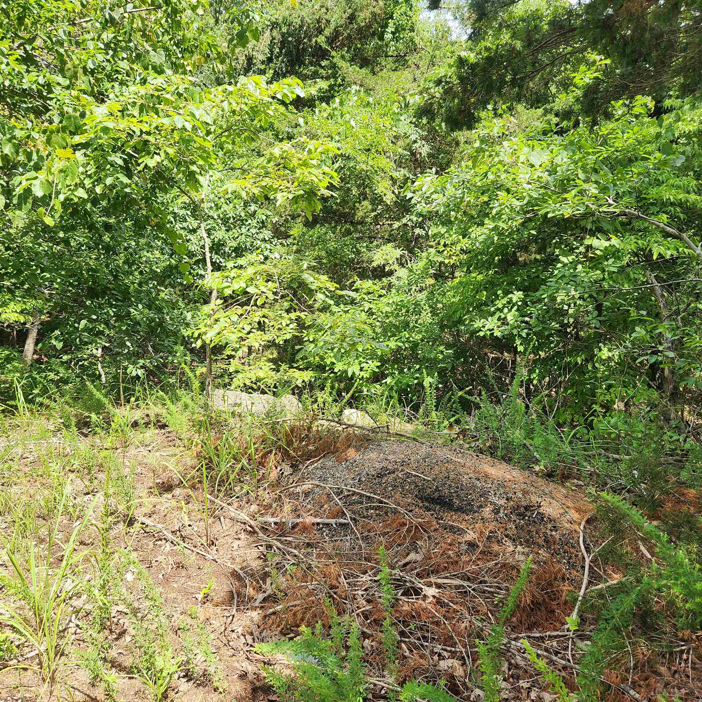 Photo 3 - Vacant Land for sale – L-67, B-18  Impa   Cherokee Village, AR