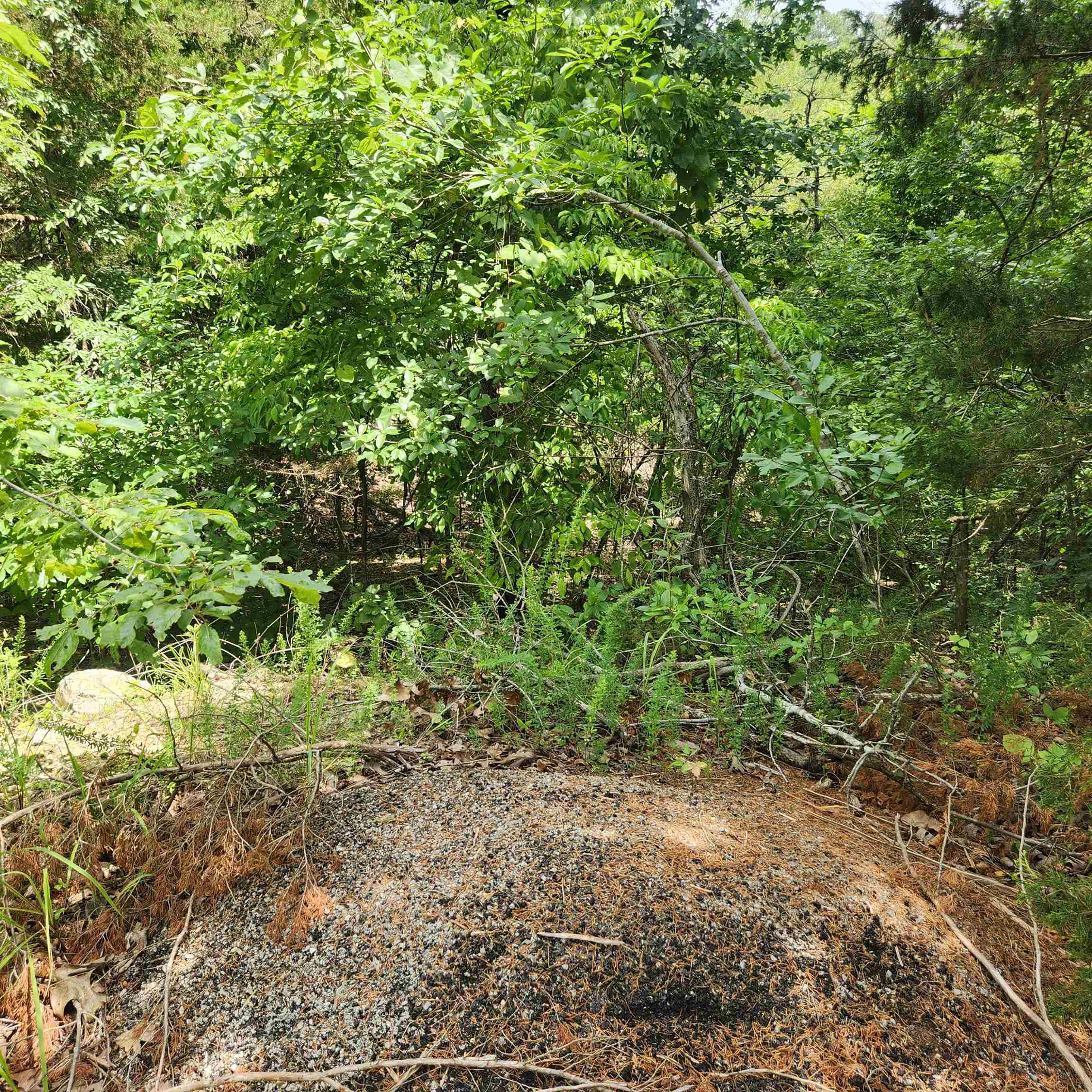 Photo 4 - Vacant Land for sale – L-67, B-18  Impa   Cherokee Village, AR