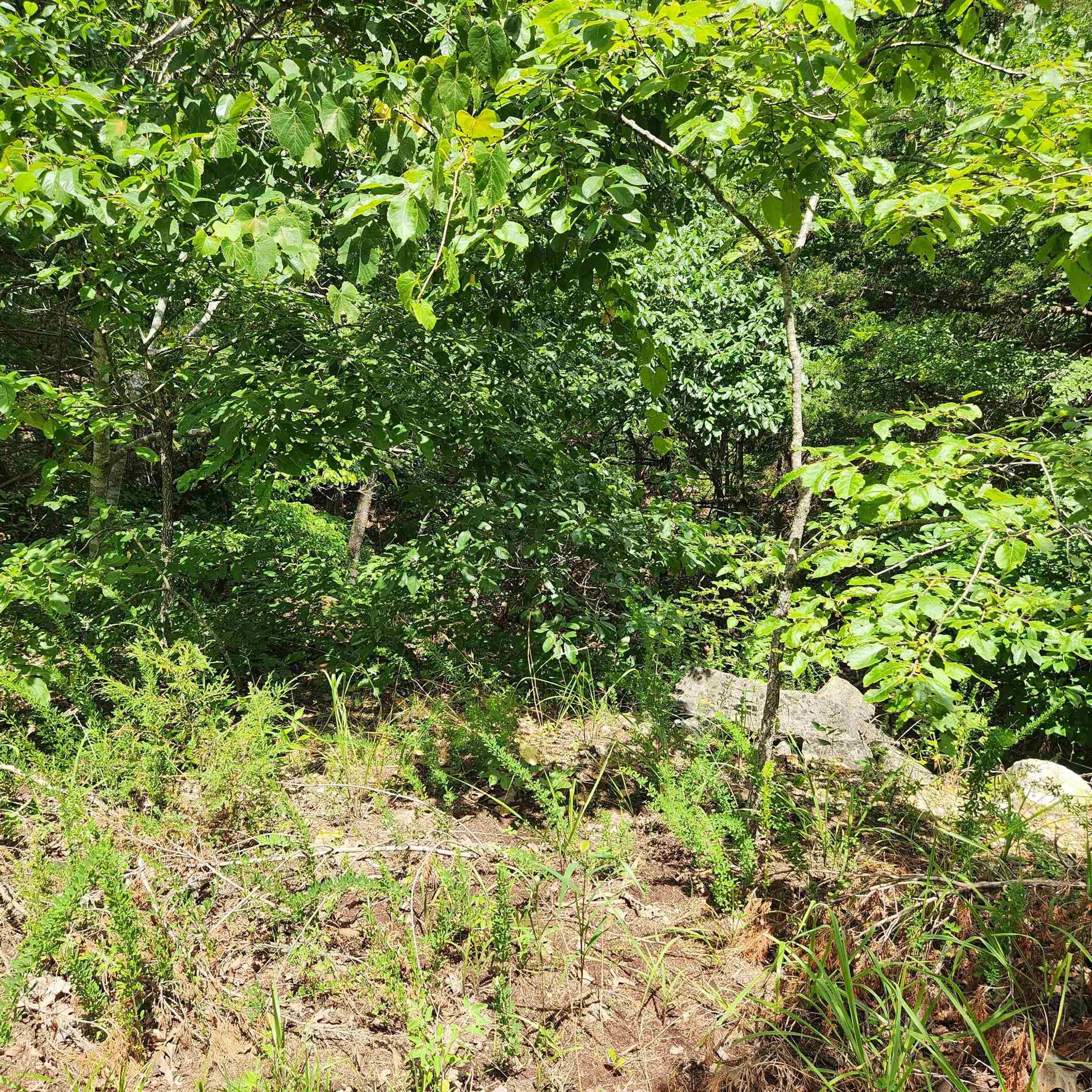 Photo 5 - Vacant Land for sale – L-67, B-18  Impa   Cherokee Village, AR