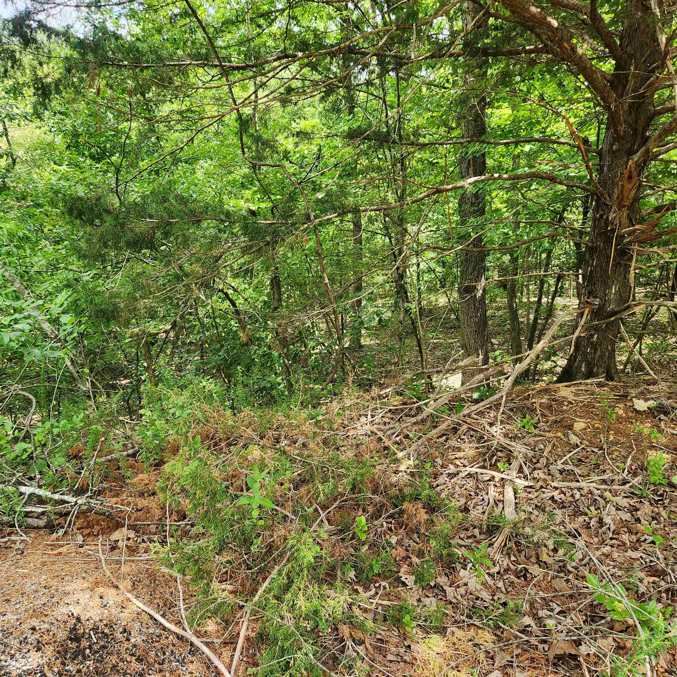 Photo 6 - Vacant Land for sale – L-67, B-18  Impa   Cherokee Village, AR