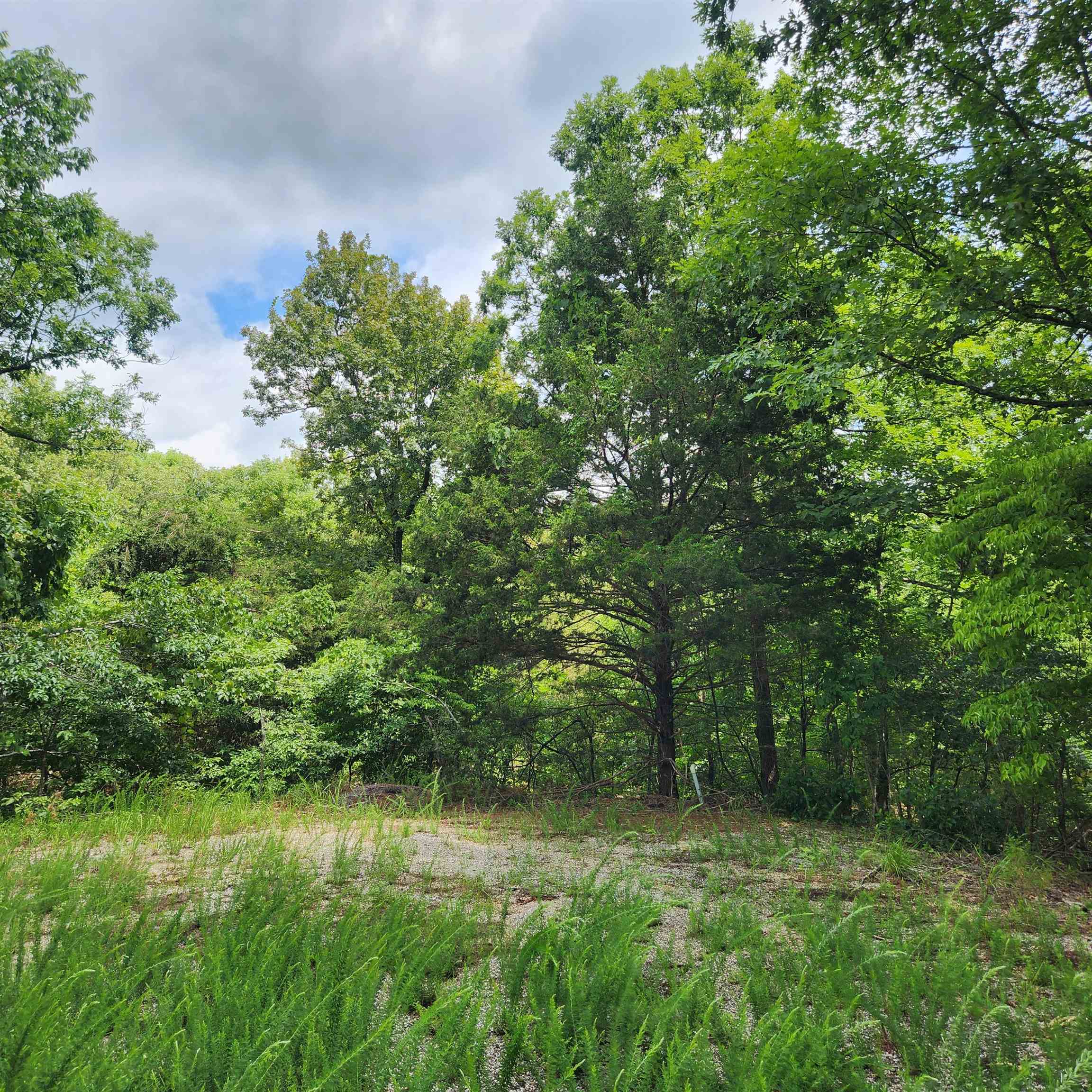 Photo 7 - Vacant Land for sale – L-67, B-18  Impa   Cherokee Village, AR