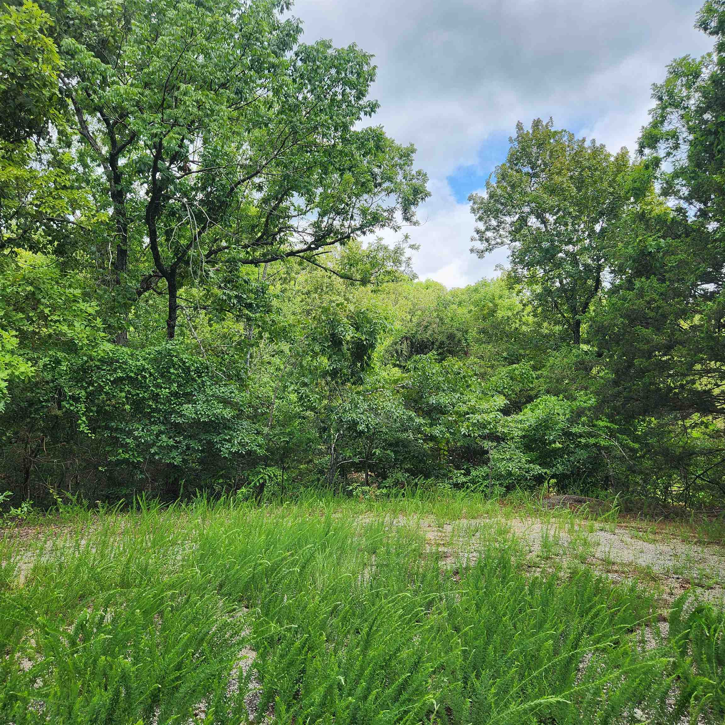 Photo 8 - Vacant Land for sale – L-67, B-18  Impa   Cherokee Village, AR