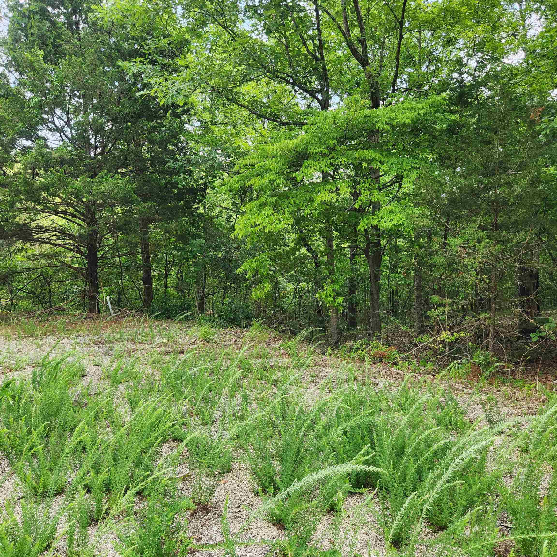 Photo 9 - Vacant Land for sale – L-67, B-18  Impa   Cherokee Village, AR