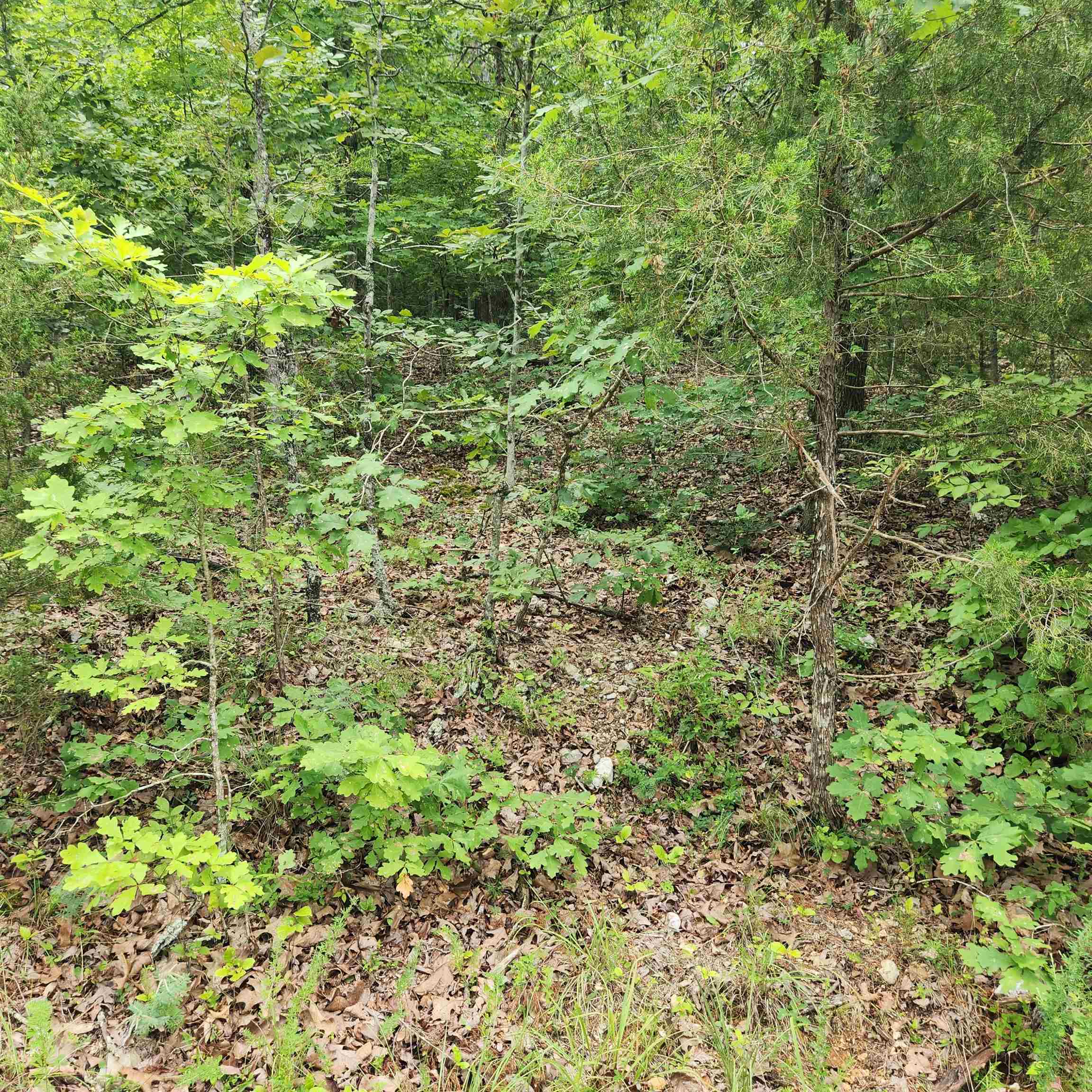 Vacant Land for sale – L-137, B-18  Tampa   Cherokee Village, AR