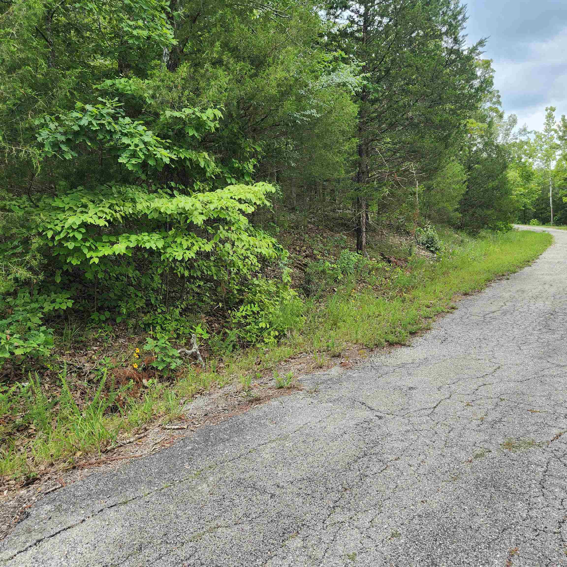 Photo 2 - Vacant Land for sale – L-137, B-18  Tampa   Cherokee Village, AR