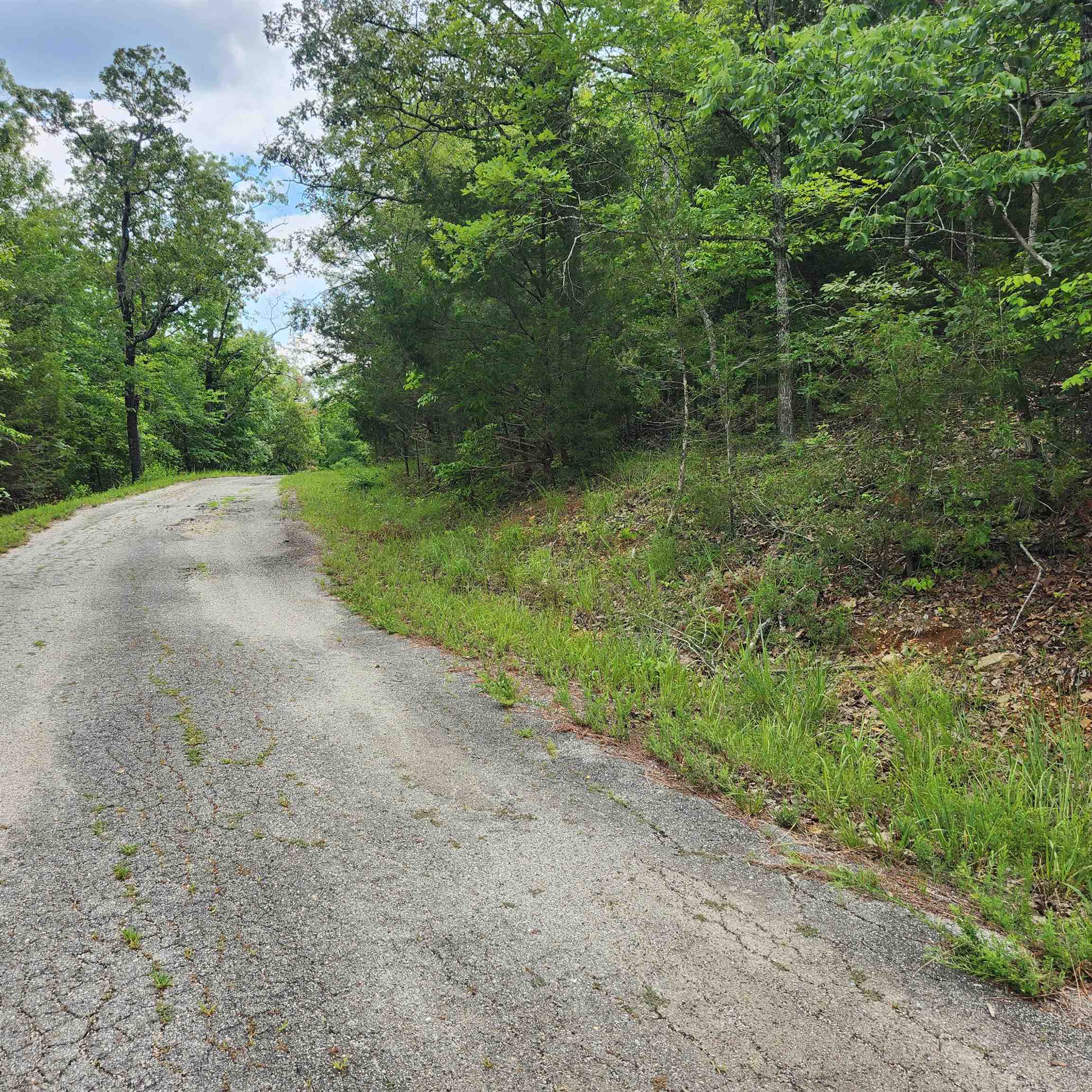 Photo 3 - Vacant Land for sale – L-137, B-18  Tampa   Cherokee Village, AR