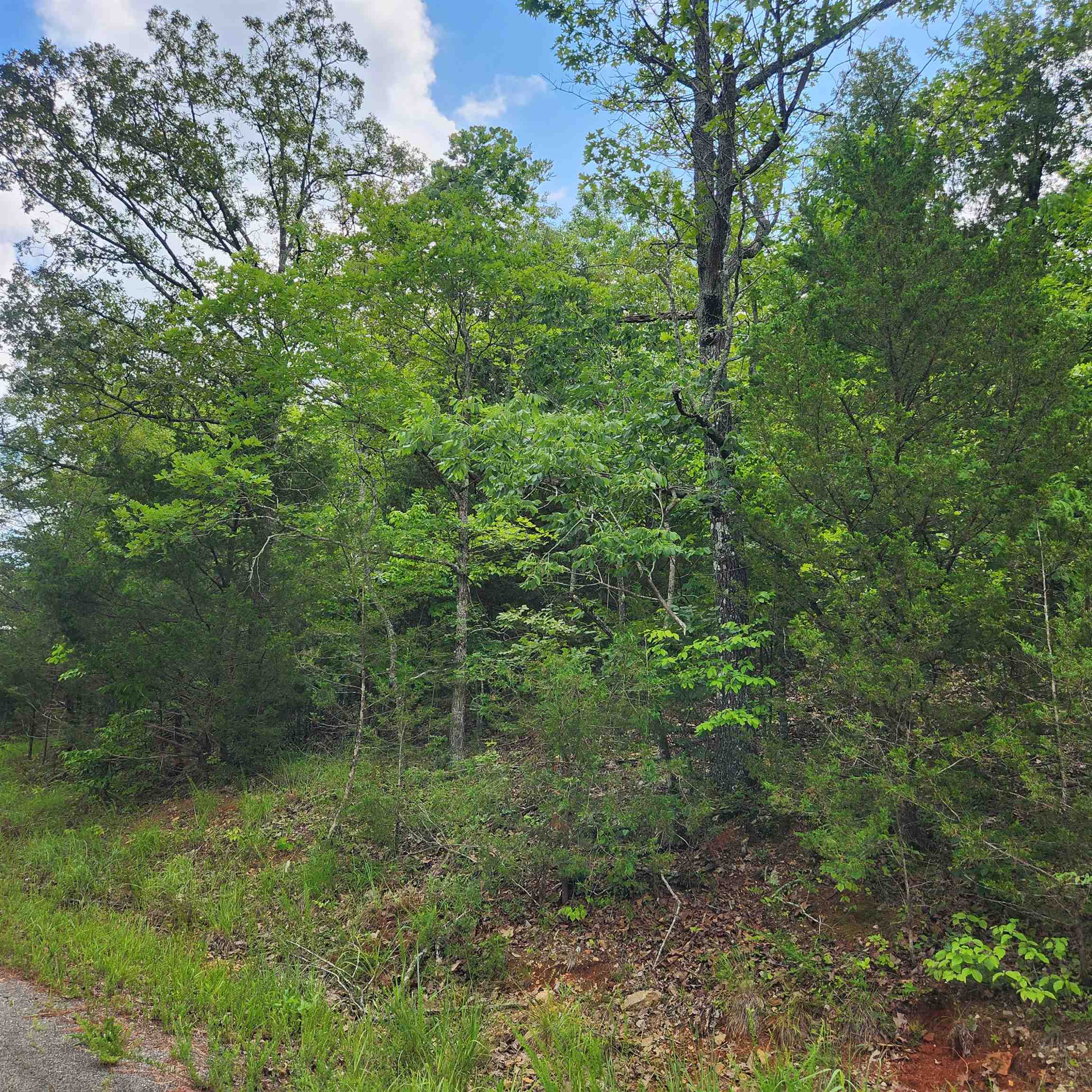 Photo 4 - Vacant Land for sale – L-137, B-18  Tampa   Cherokee Village, AR