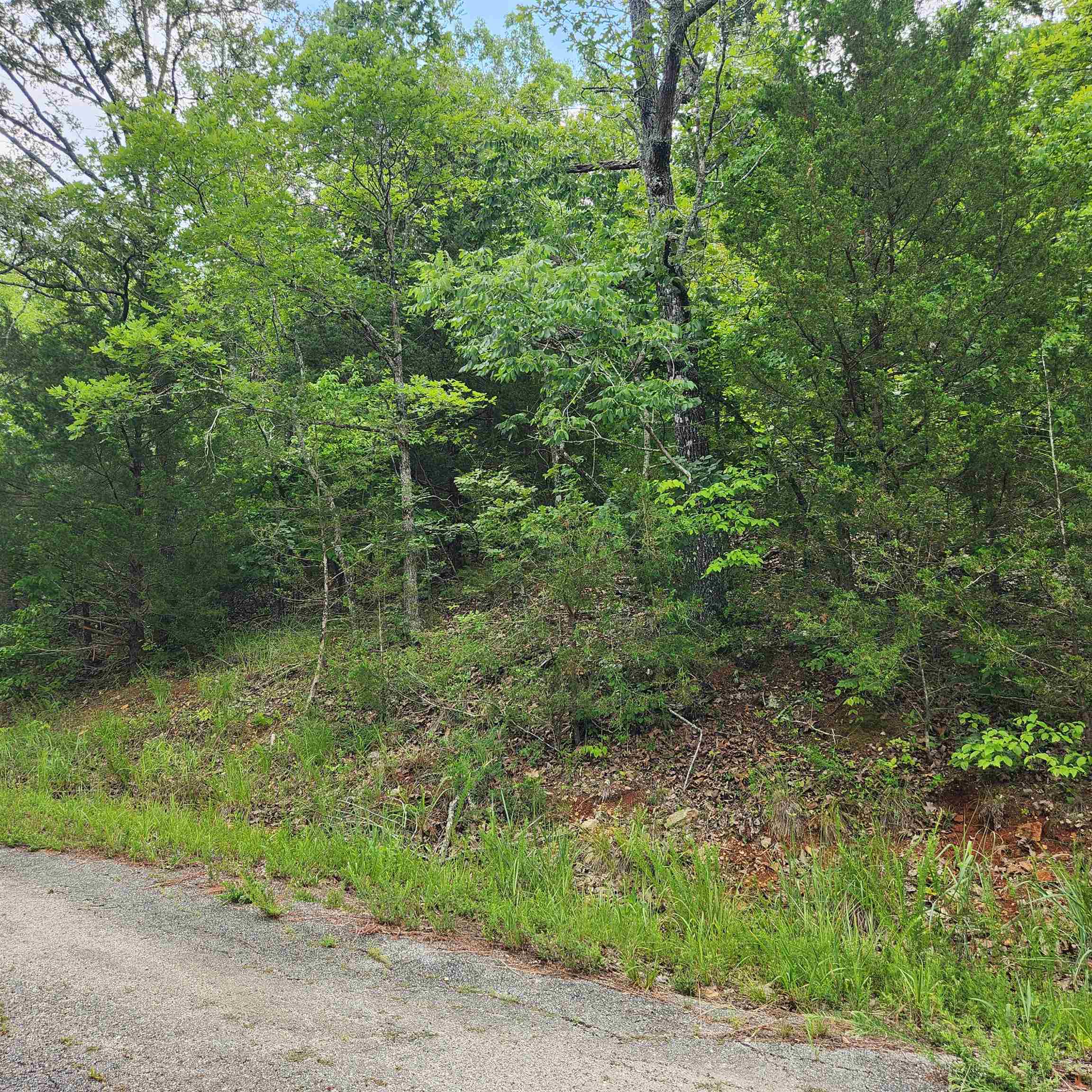 Photo 6 - Vacant Land for sale – L-137, B-18  Tampa   Cherokee Village, AR