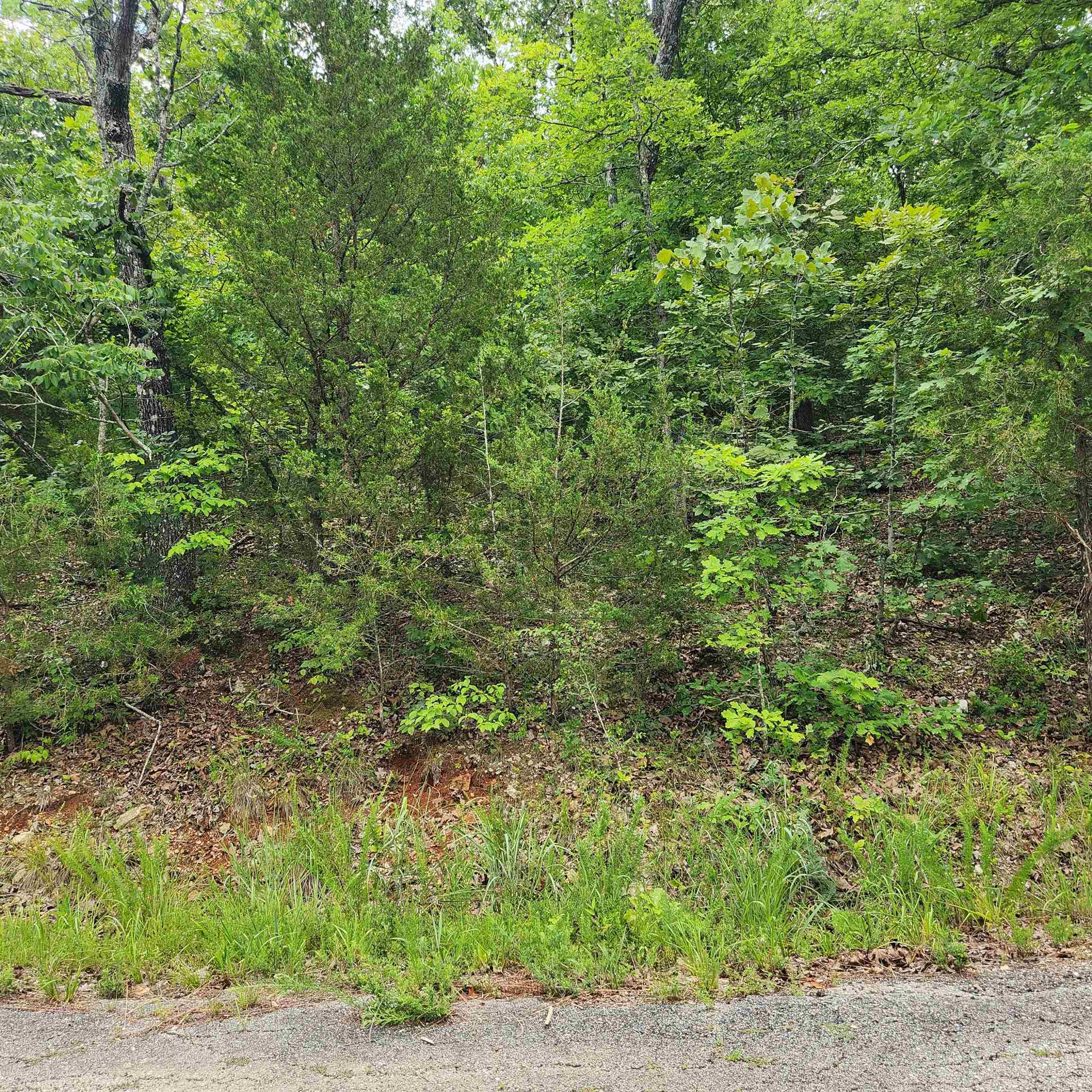 Photo 7 - Vacant Land for sale – L-137, B-18  Tampa   Cherokee Village, AR