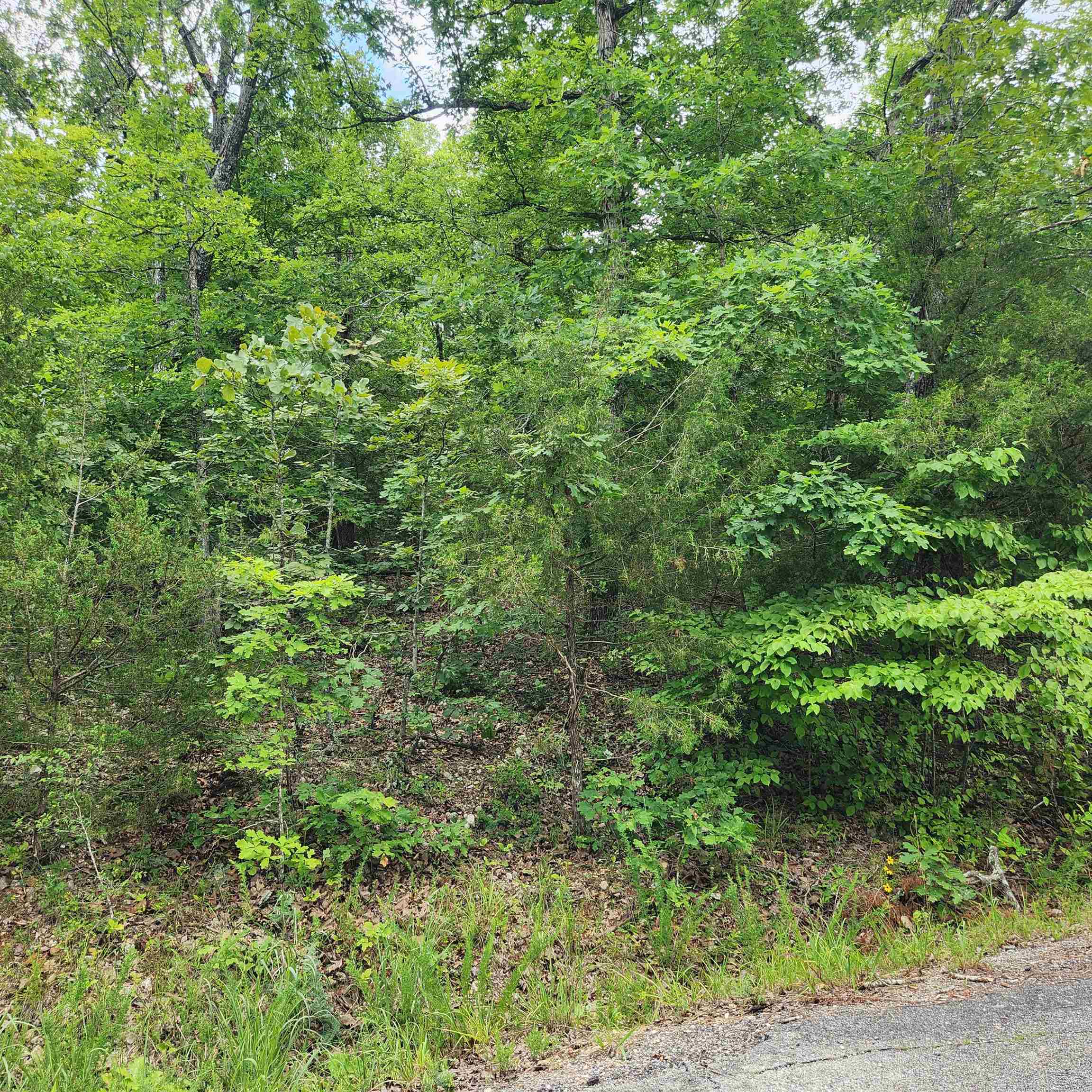 Photo 8 - Vacant Land for sale – L-137, B-18  Tampa   Cherokee Village, AR