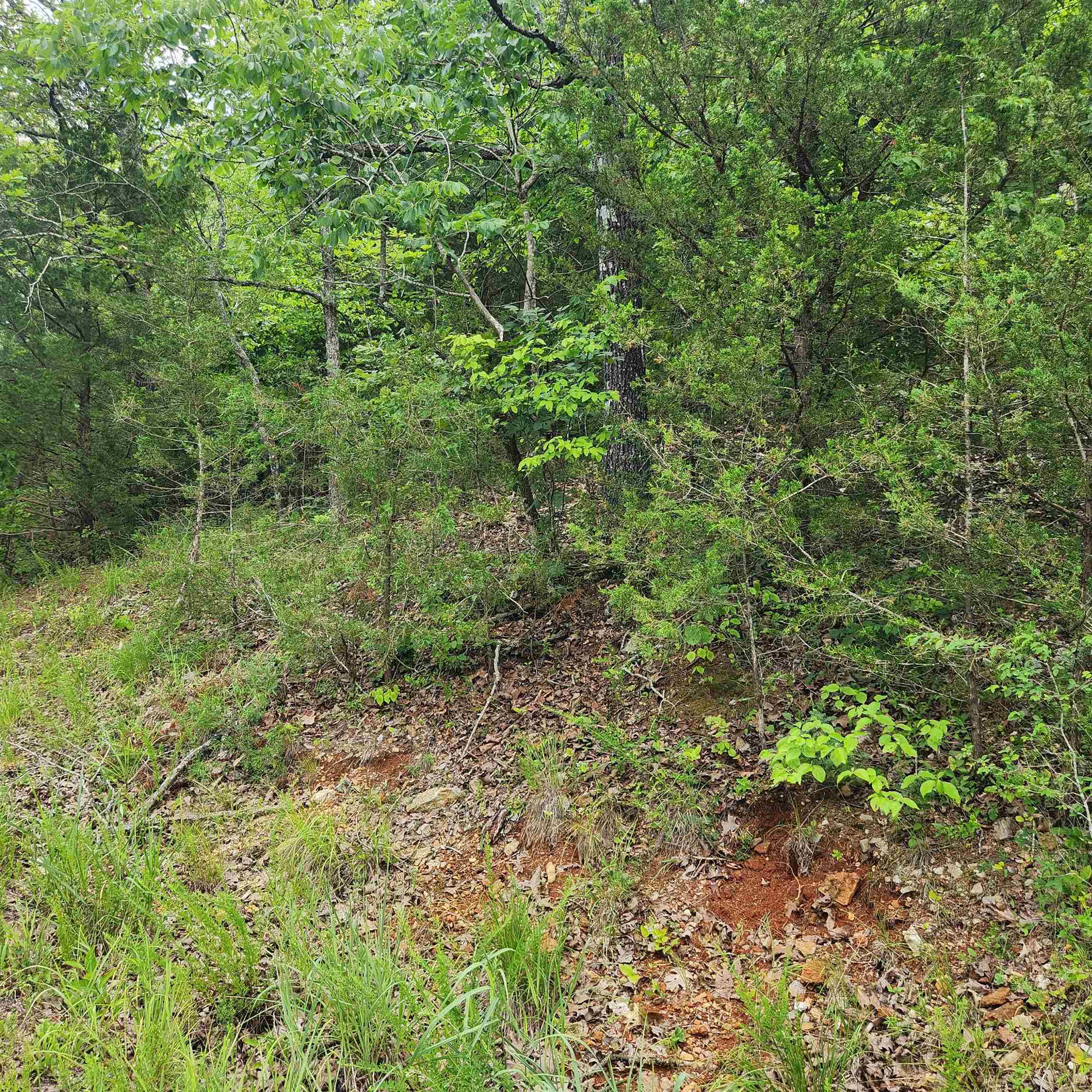 Photo 10 - Vacant Land for sale – L-137, B-18  Tampa   Cherokee Village, AR