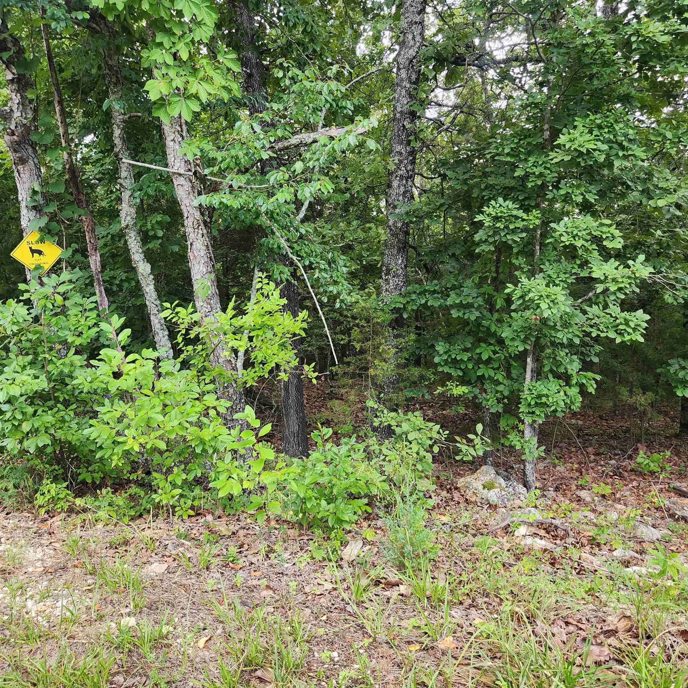 Photo 11 - Vacant Land for sale – L-38 B-4  Topez   Cherokee Village, AR
