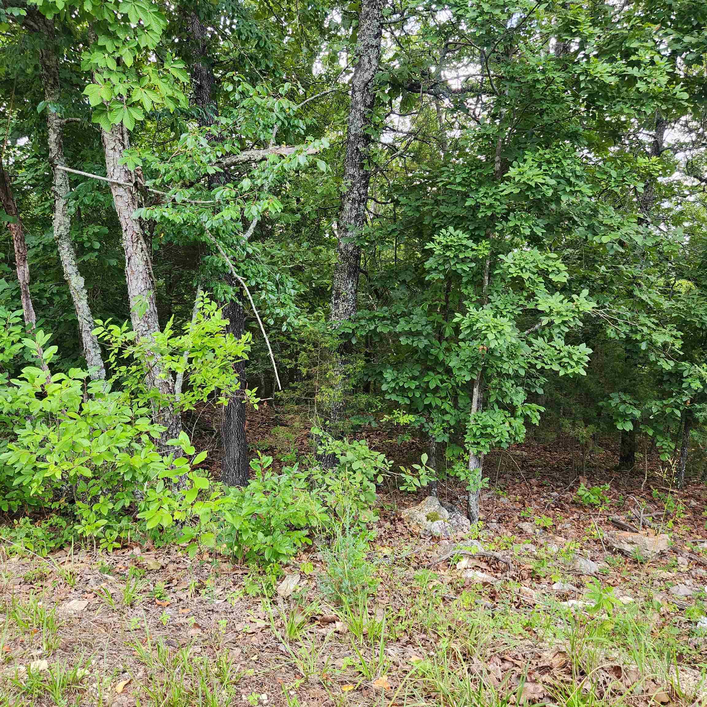 Photo 12 - Vacant Land for sale – L-38 B-4  Topez   Cherokee Village, AR
