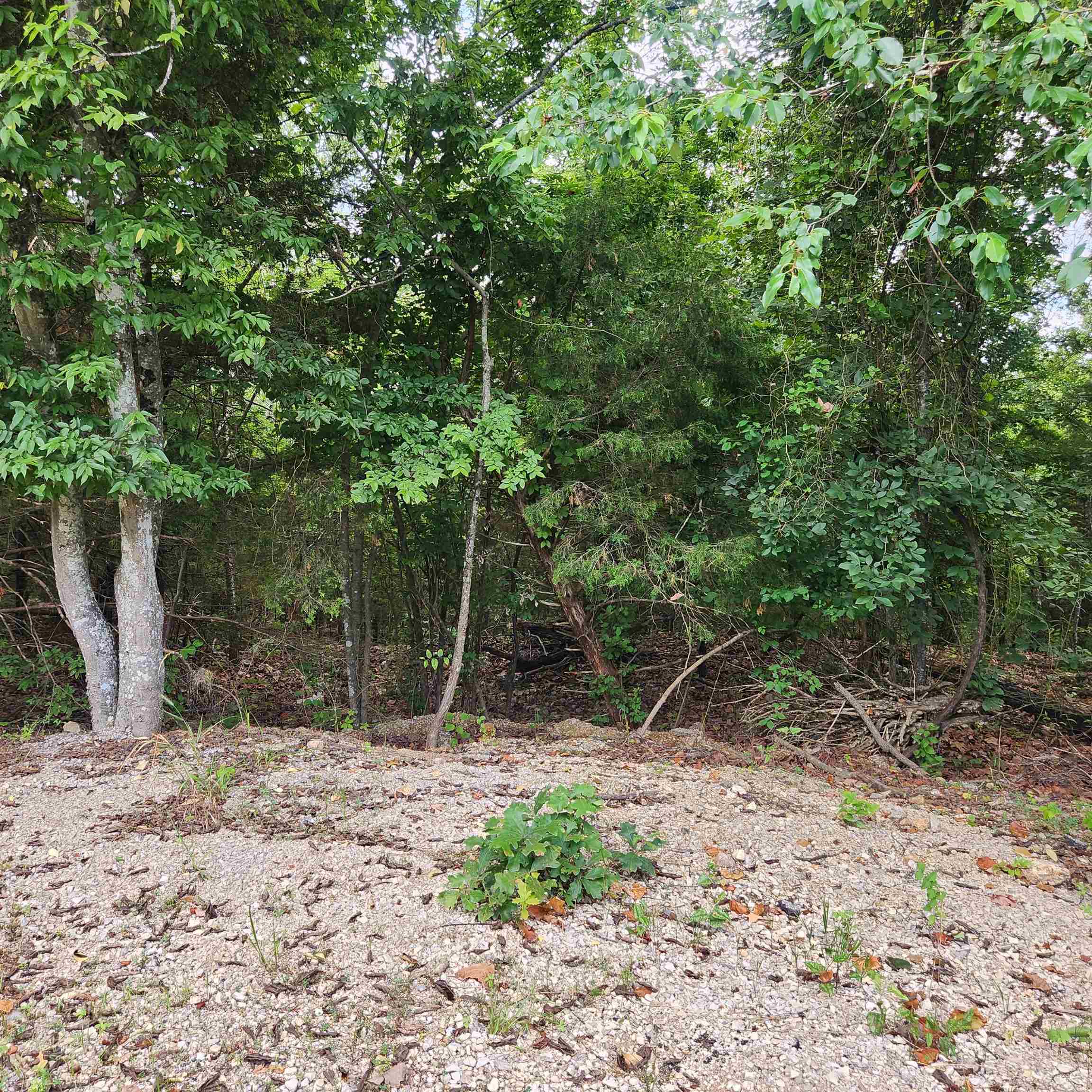 Photo 13 - Vacant Land for sale – L-38 B-4  Topez   Cherokee Village, AR