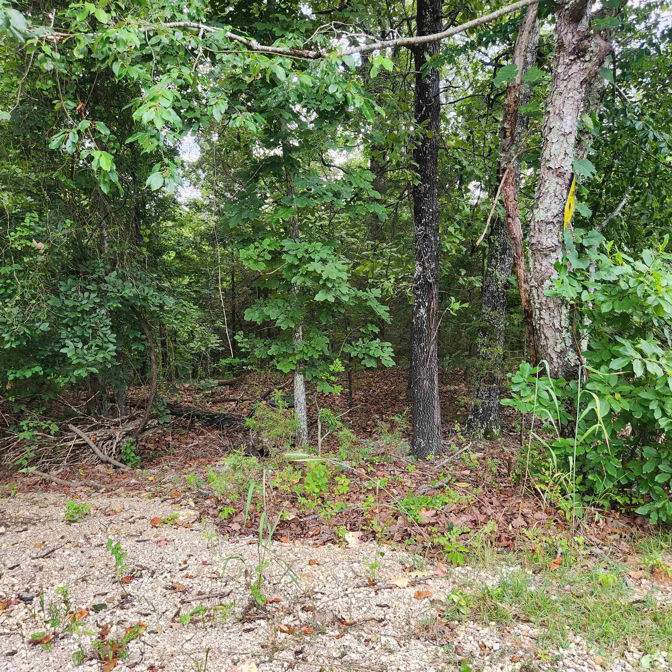 Photo 15 - Vacant Land for sale – L-38 B-4  Topez   Cherokee Village, AR