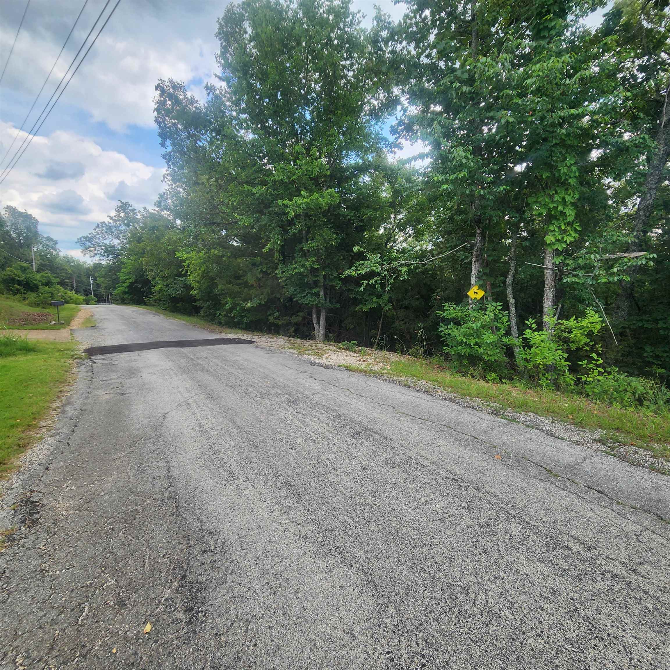 Photo 3 - Vacant Land for sale – L-38 B-4  Topez   Cherokee Village, AR