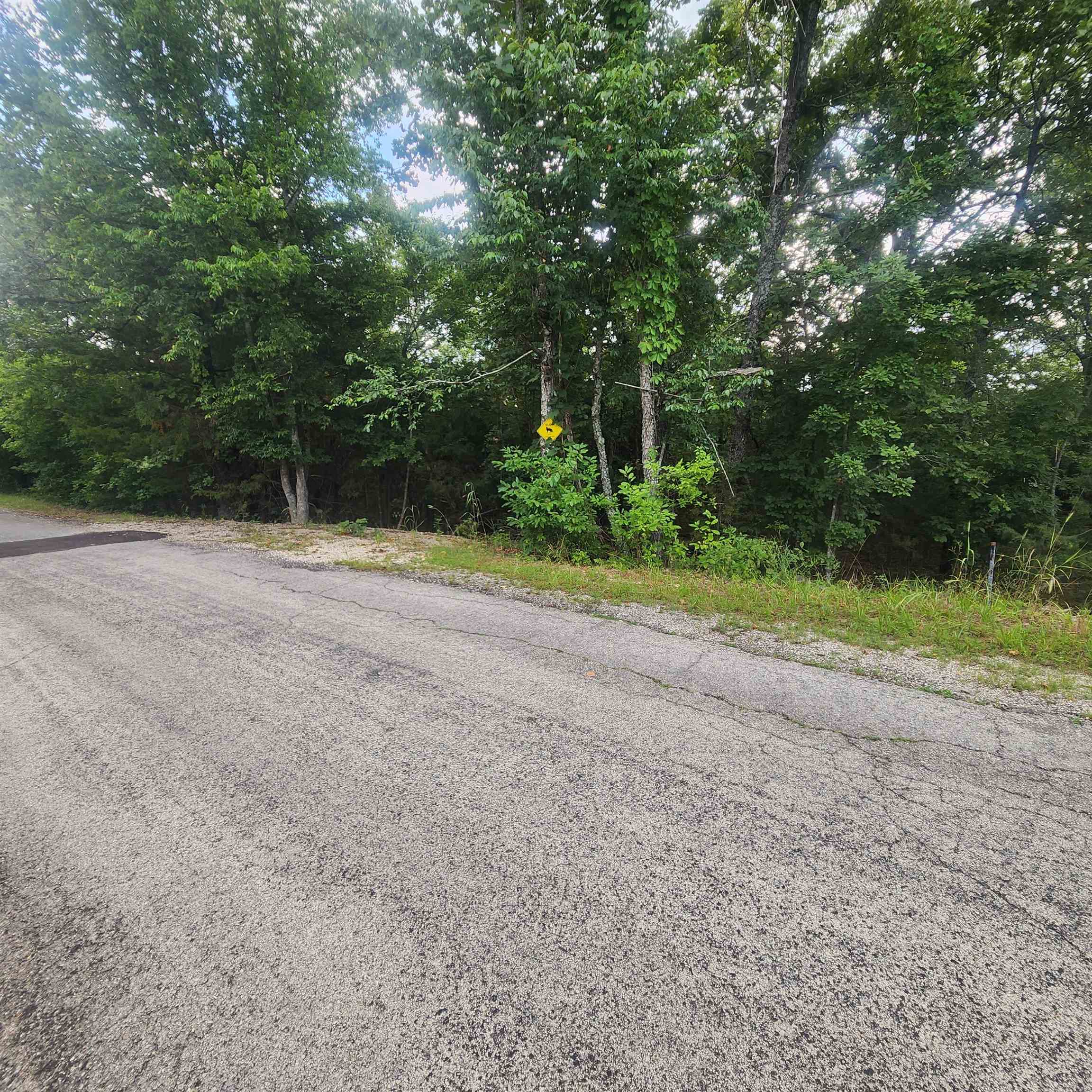 Photo 4 - Vacant Land for sale – L-38 B-4  Topez   Cherokee Village, AR