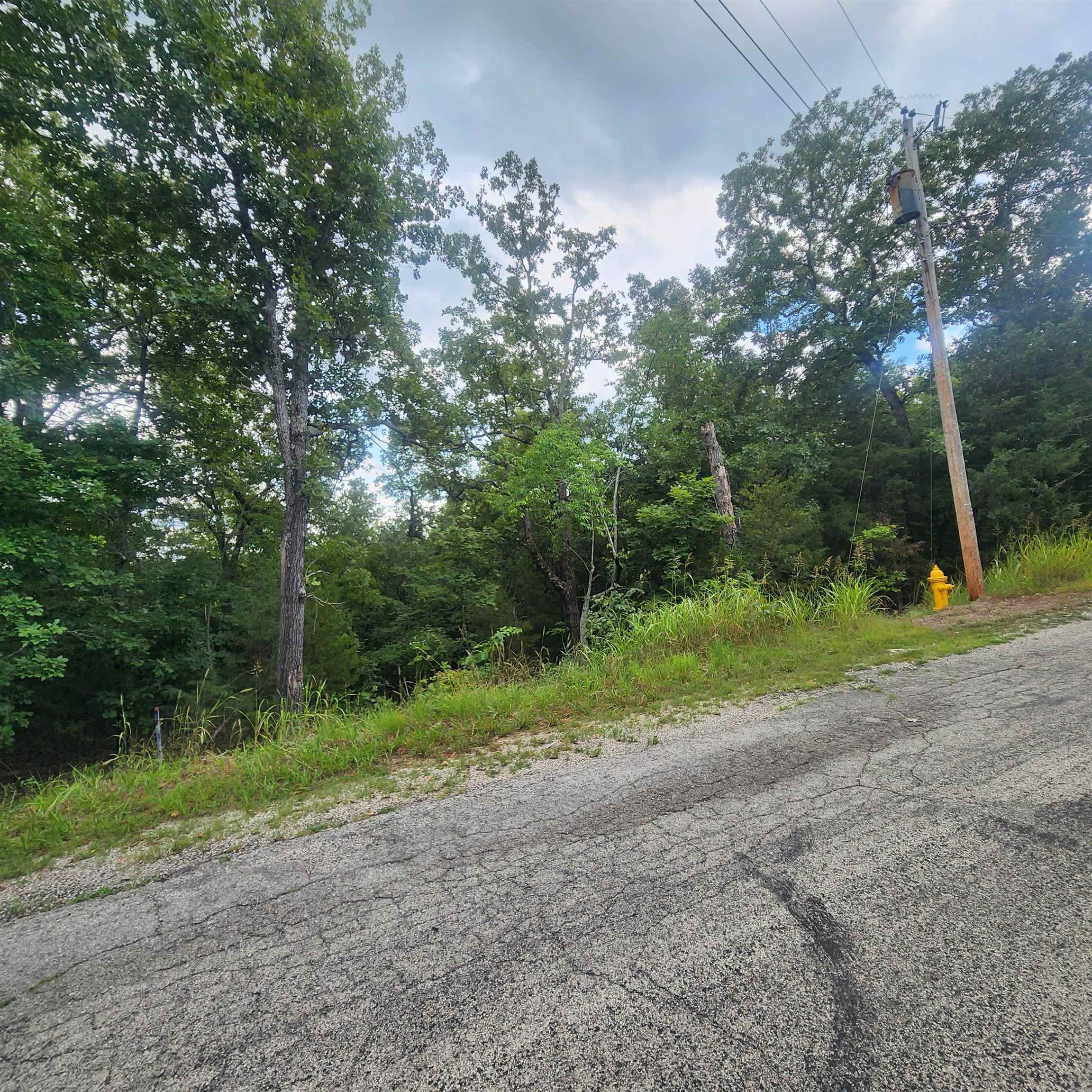 Photo 6 - Vacant Land for sale – L-38 B-4  Topez   Cherokee Village, AR