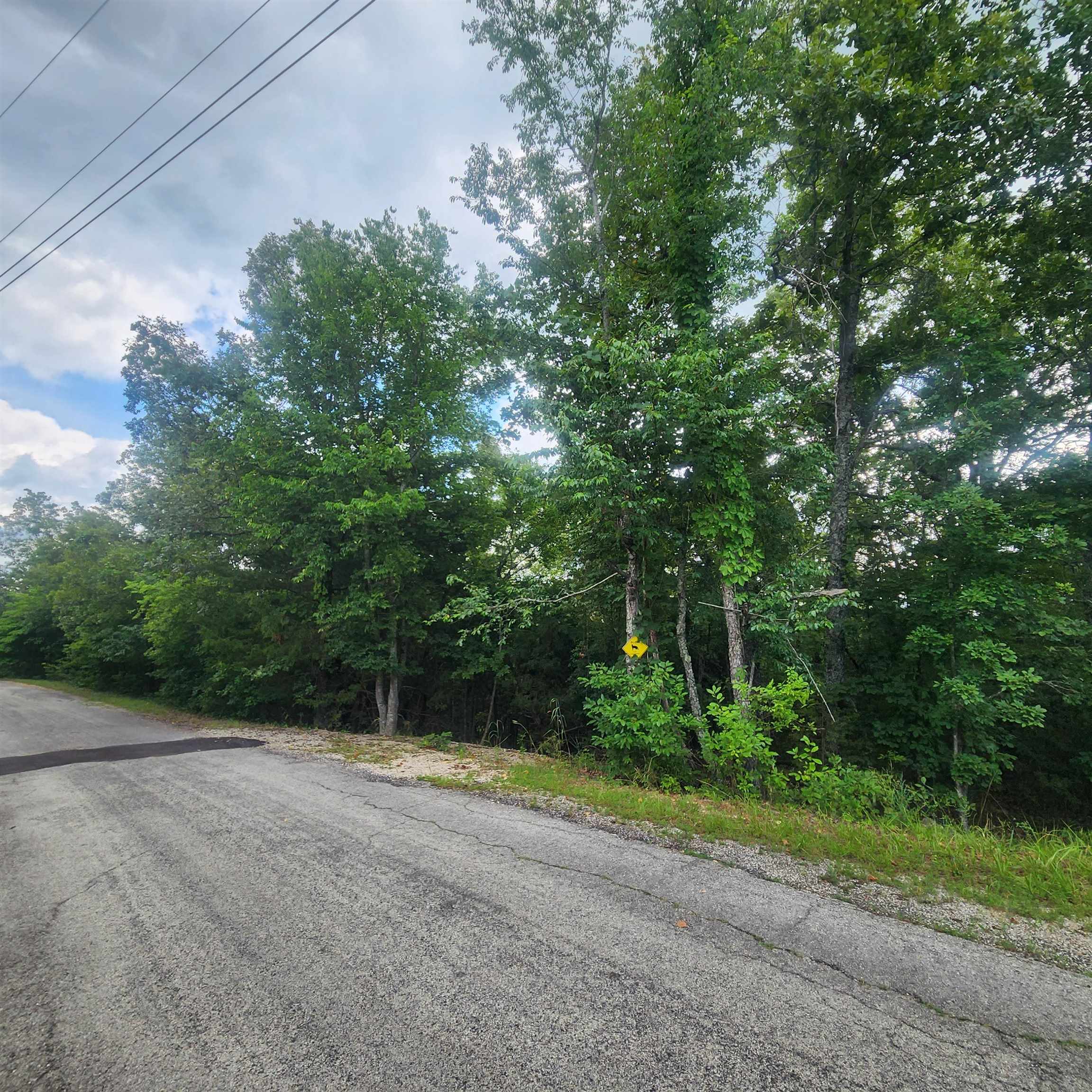 Photo 7 - Vacant Land for sale – L-38 B-4  Topez   Cherokee Village, AR