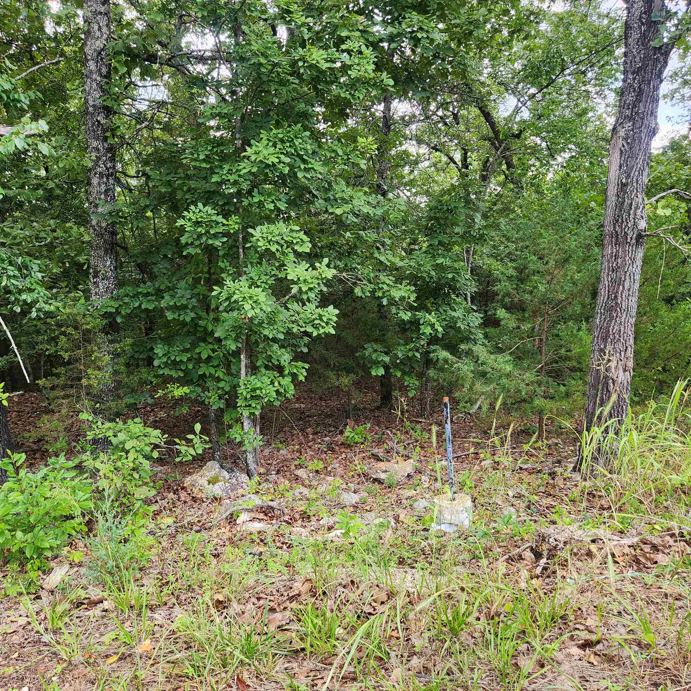 Photo 8 - Vacant Land for sale – L-38 B-4  Topez   Cherokee Village, AR