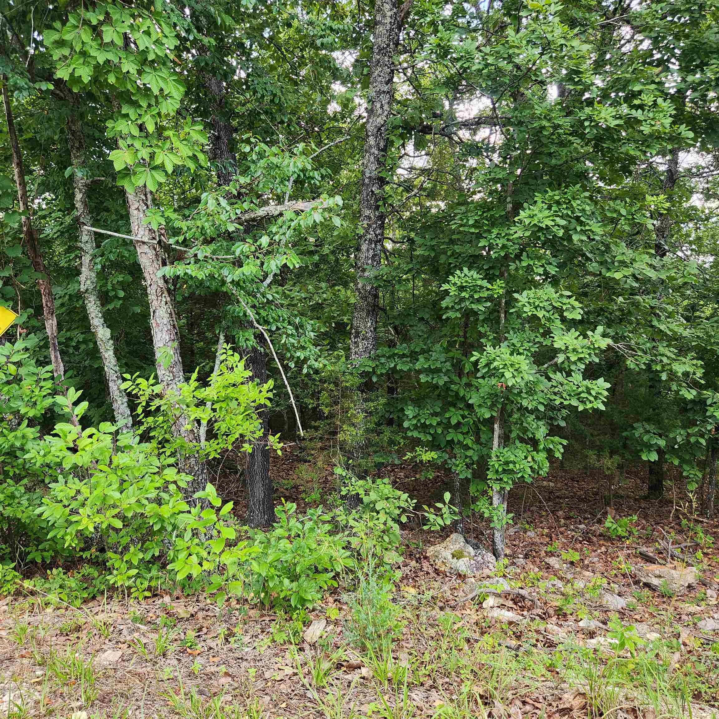 Photo 9 - Vacant Land for sale – L-38 B-4  Topez   Cherokee Village, AR
