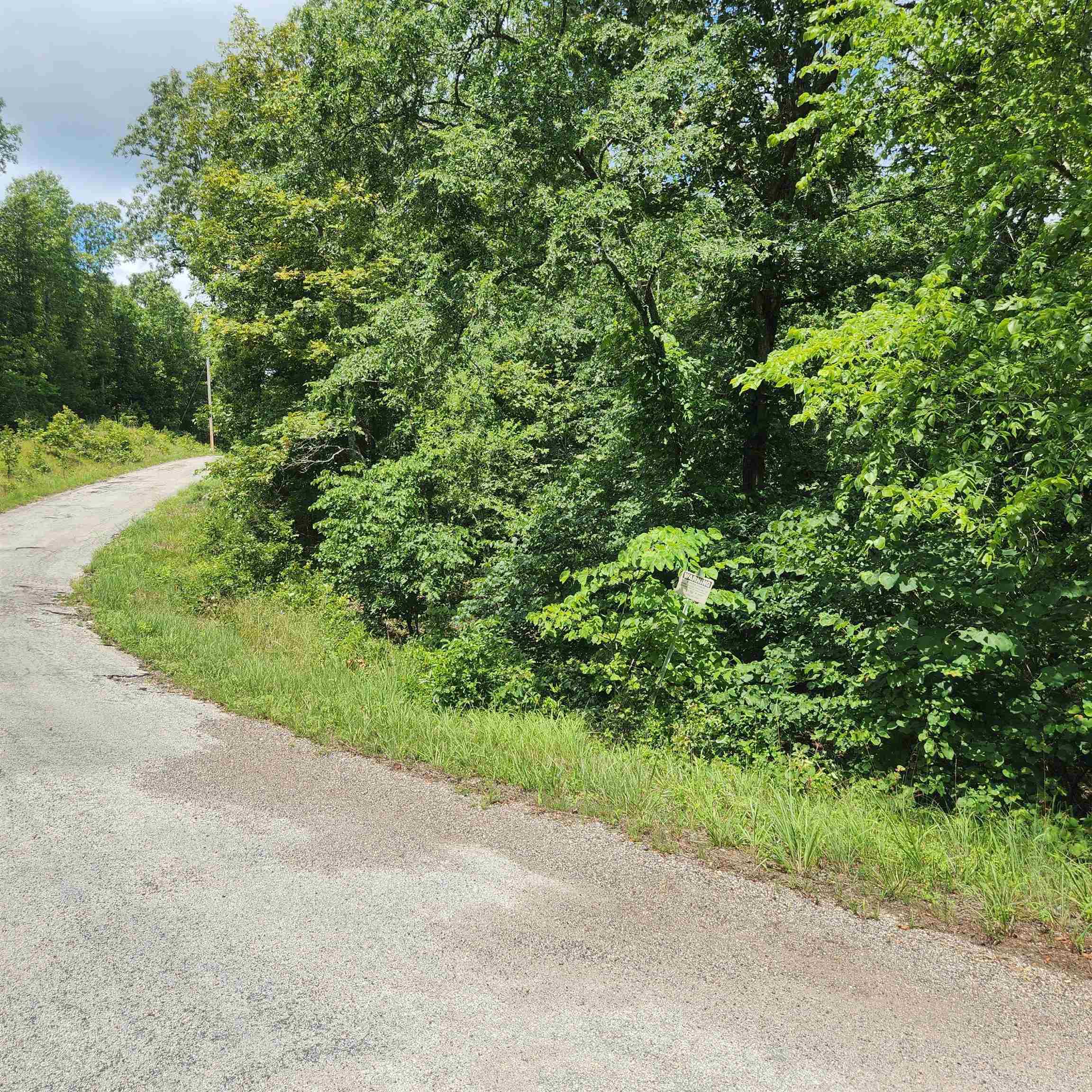 Photo 2 - Vacant Land for sale – L-70, B-7  Otalco   Cherokee Village, AR