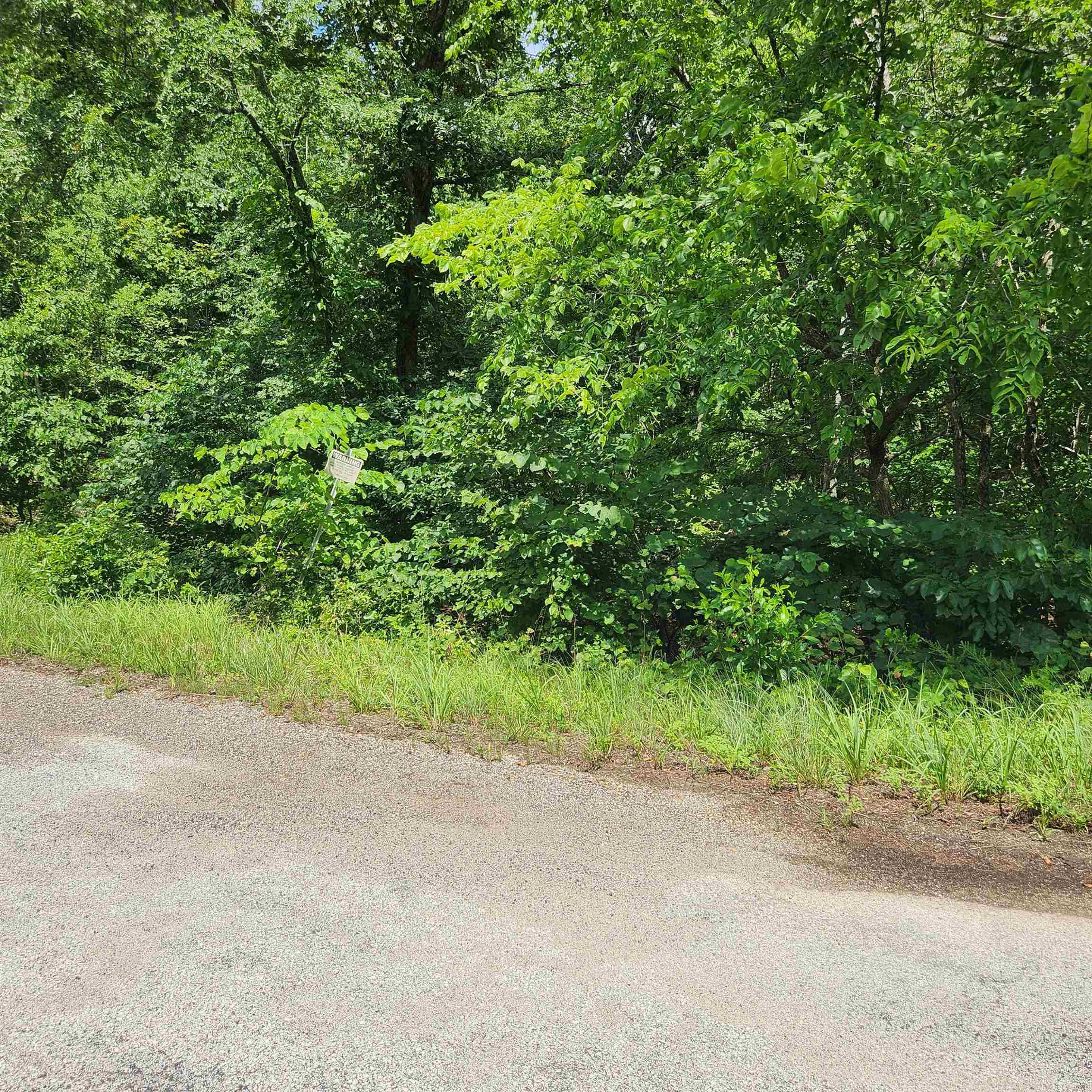 Photo 3 - Vacant Land for sale – L-70, B-7  Otalco   Cherokee Village, AR