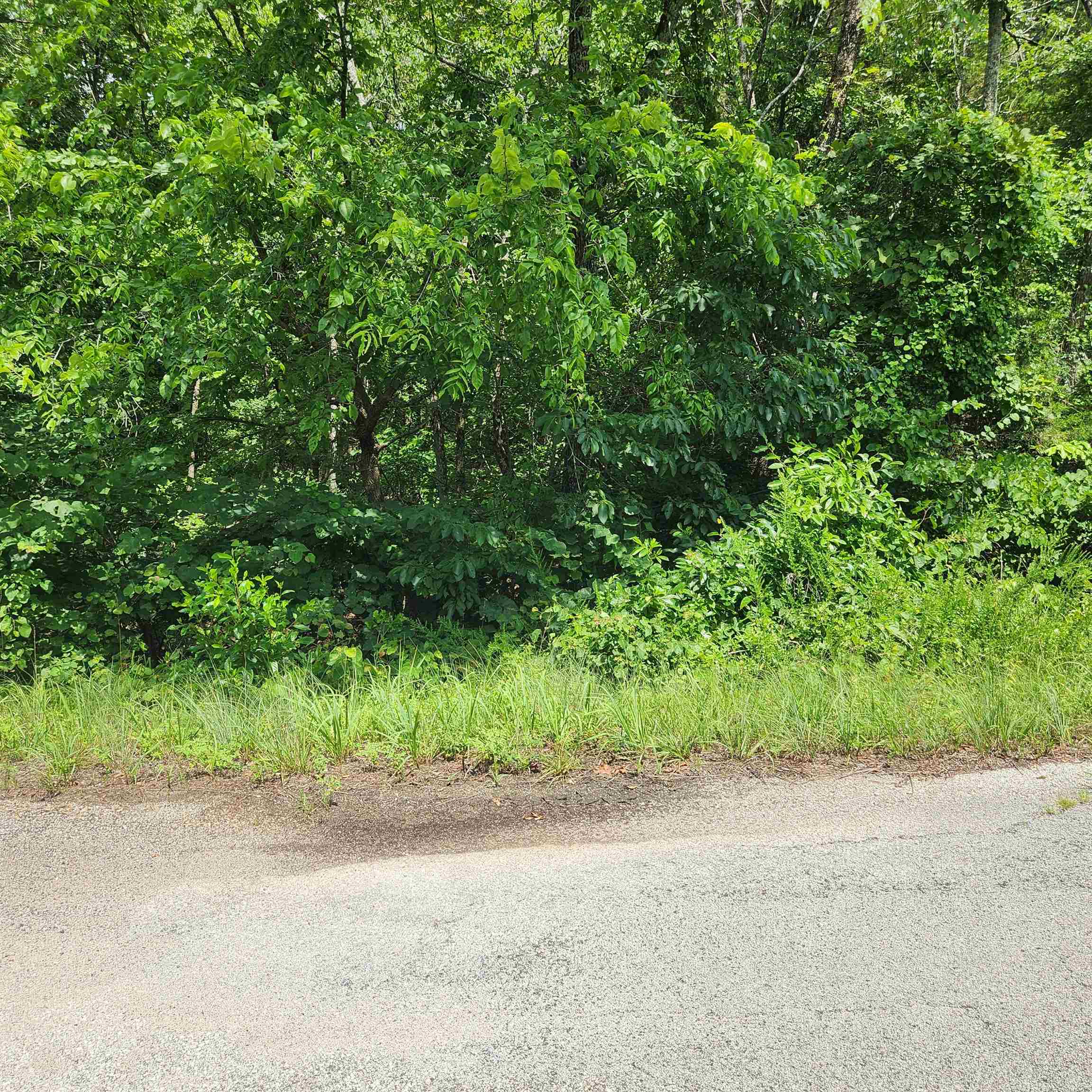 Photo 4 - Vacant Land for sale – L-70, B-7  Otalco   Cherokee Village, AR