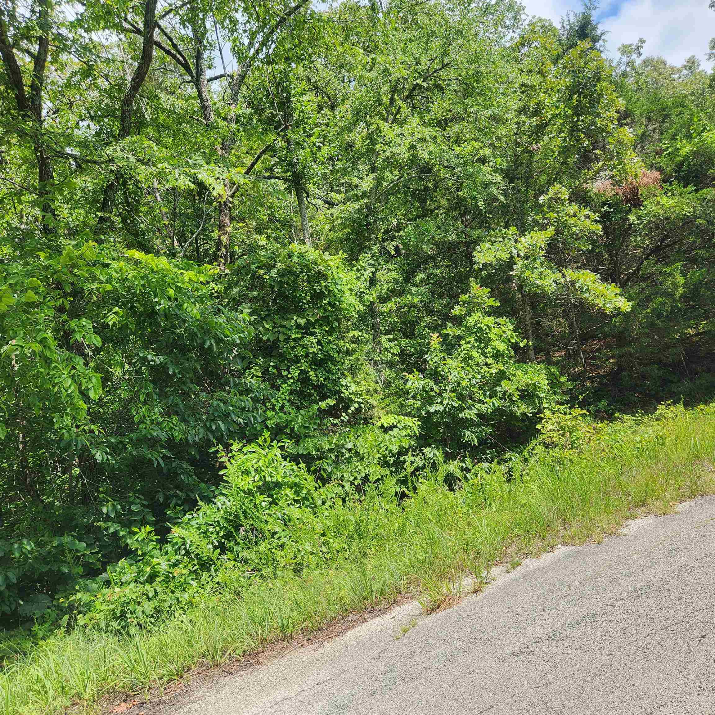 Photo 6 - Vacant Land for sale – L-70, B-7  Otalco   Cherokee Village, AR