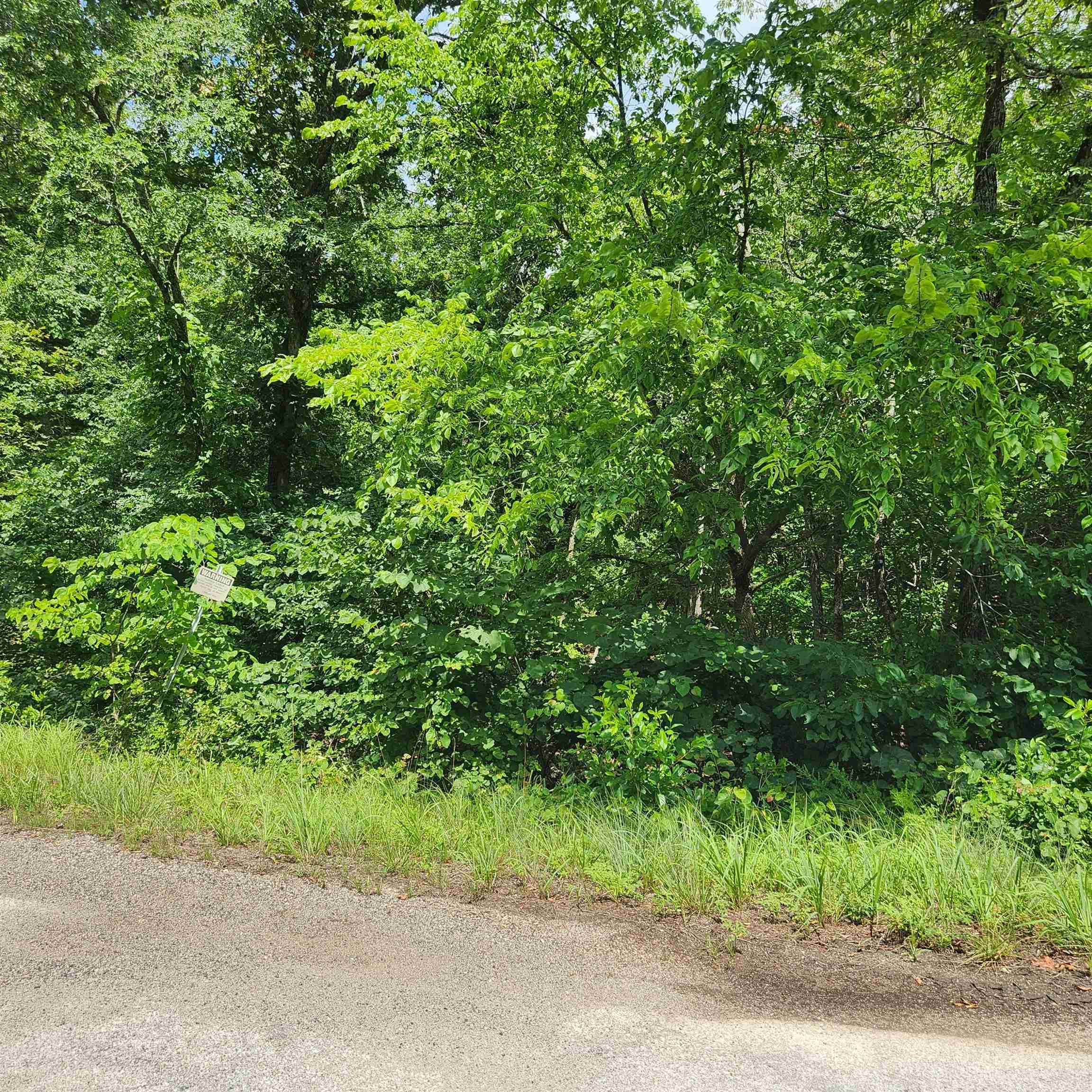 Photo 7 - Vacant Land for sale – L-70, B-7  Otalco   Cherokee Village, AR