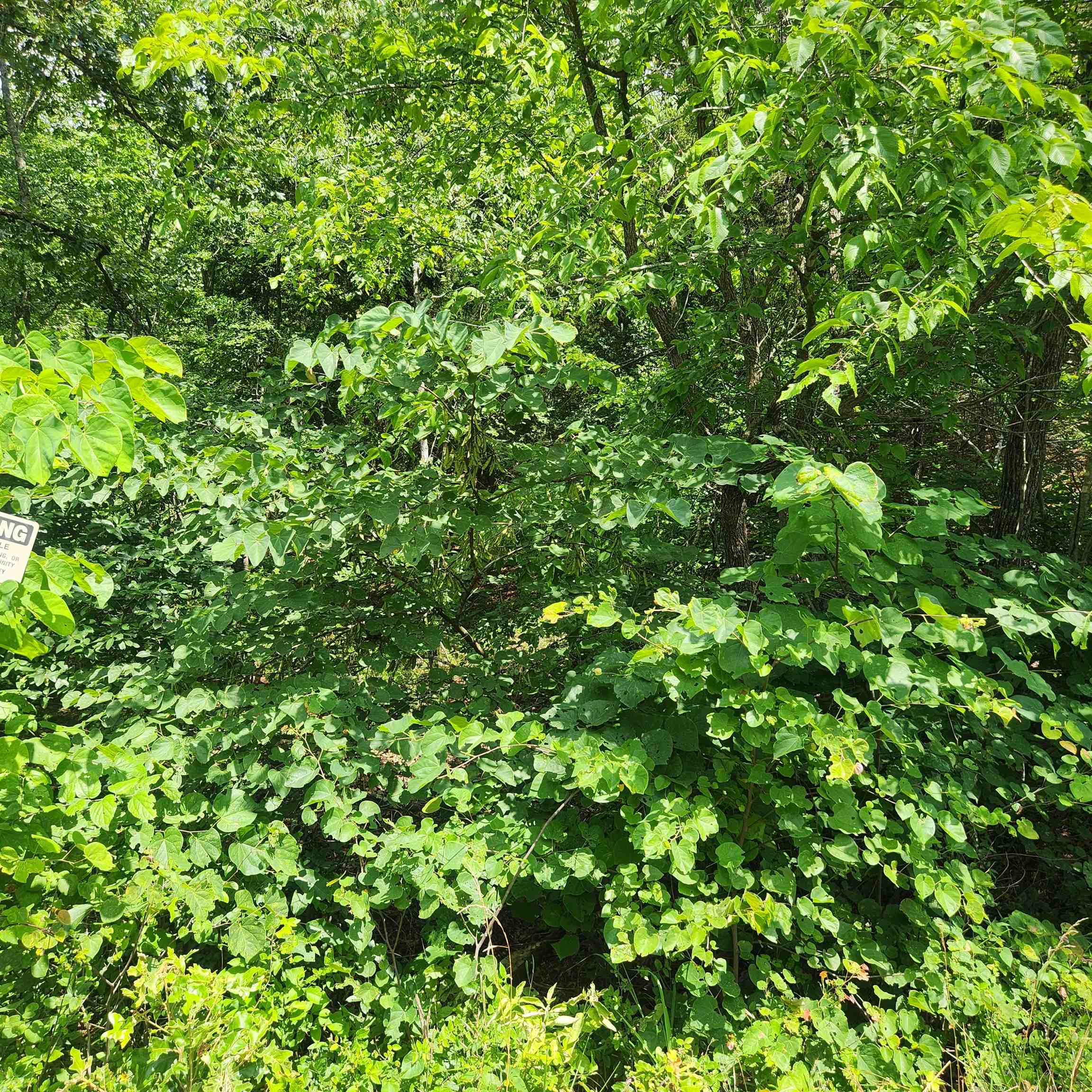 Photo 8 - Vacant Land for sale – L-70, B-7  Otalco   Cherokee Village, AR