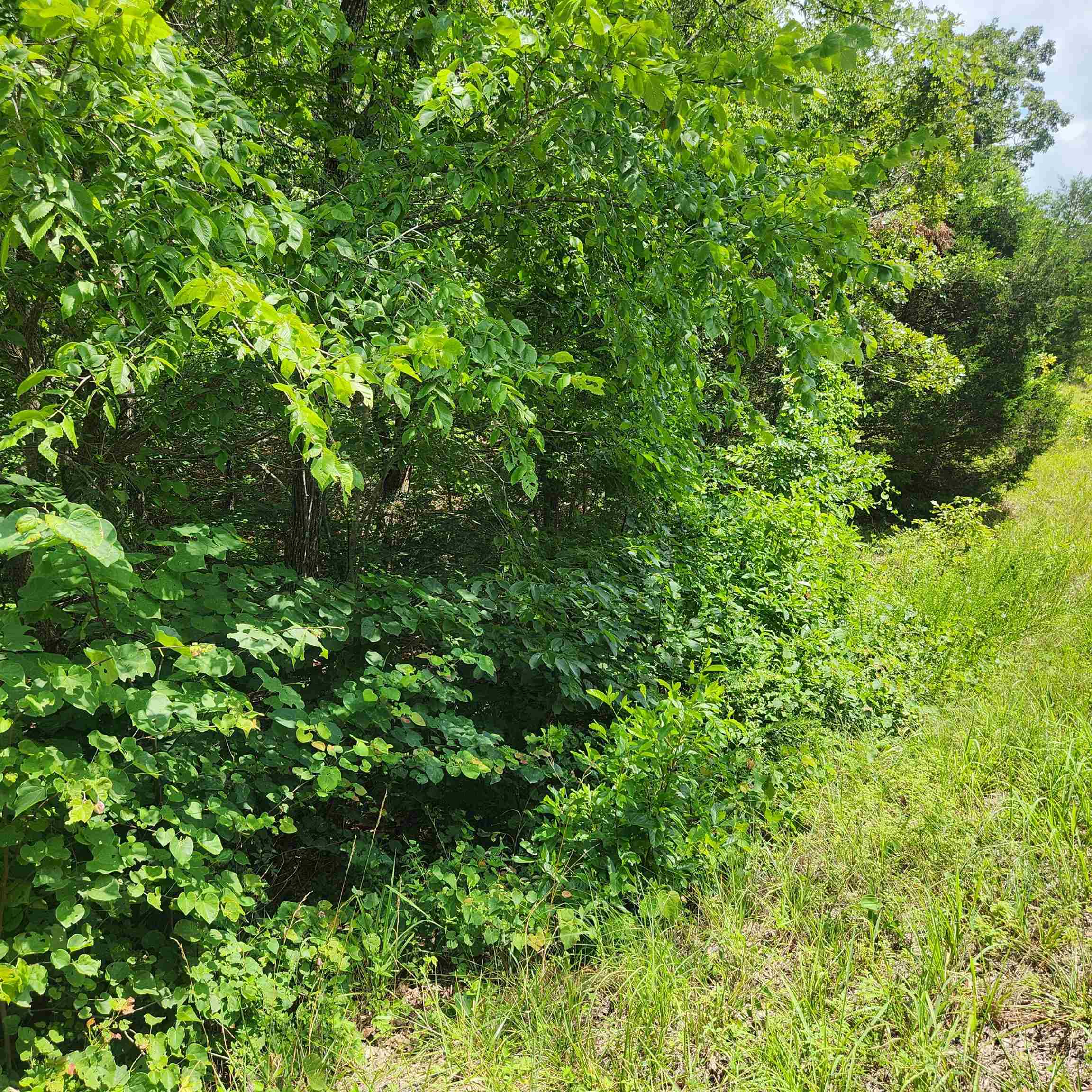 Photo 9 - Vacant Land for sale – L-70, B-7  Otalco   Cherokee Village, AR