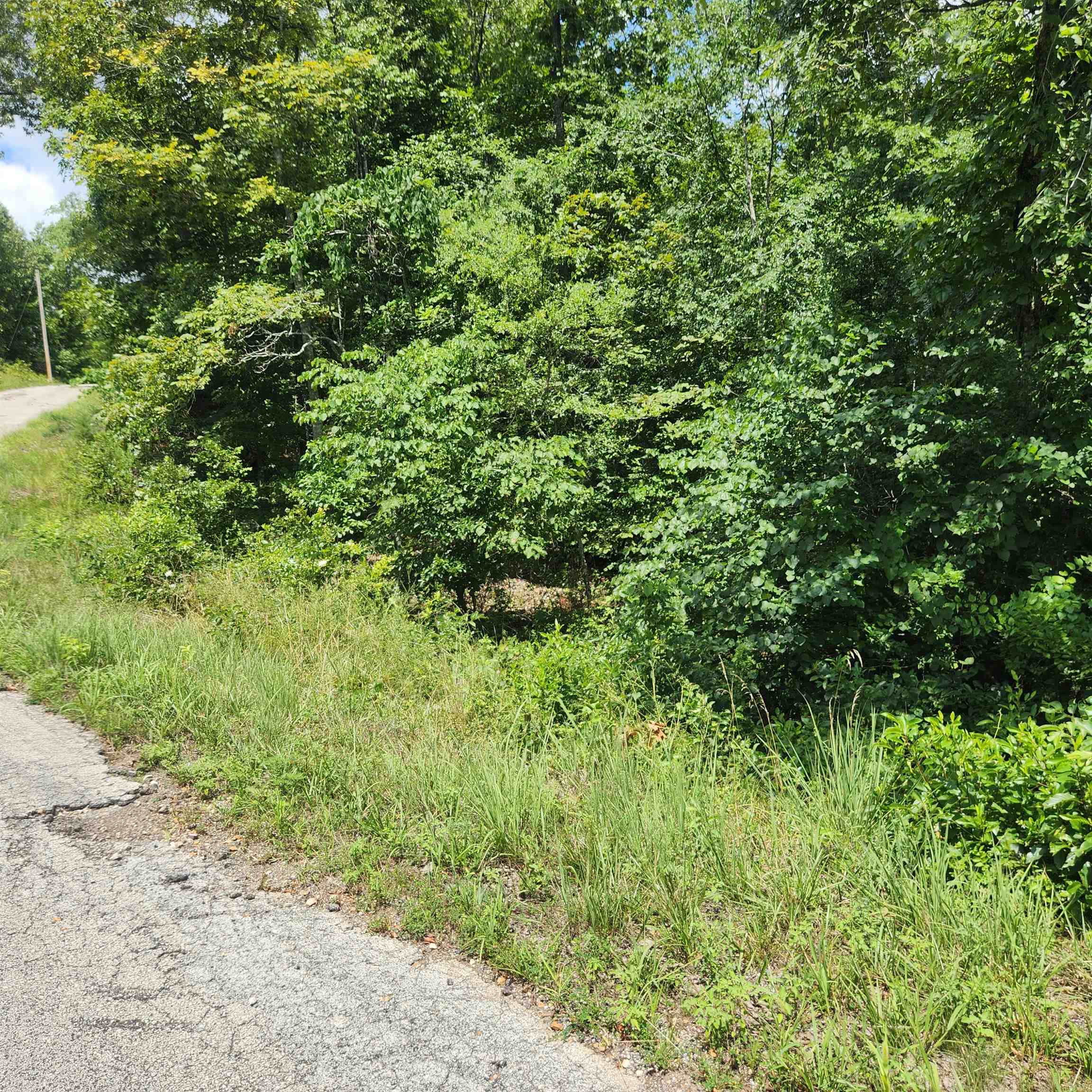 Photo 10 - Vacant Land for sale – L-70, B-7  Otalco   Cherokee Village, AR