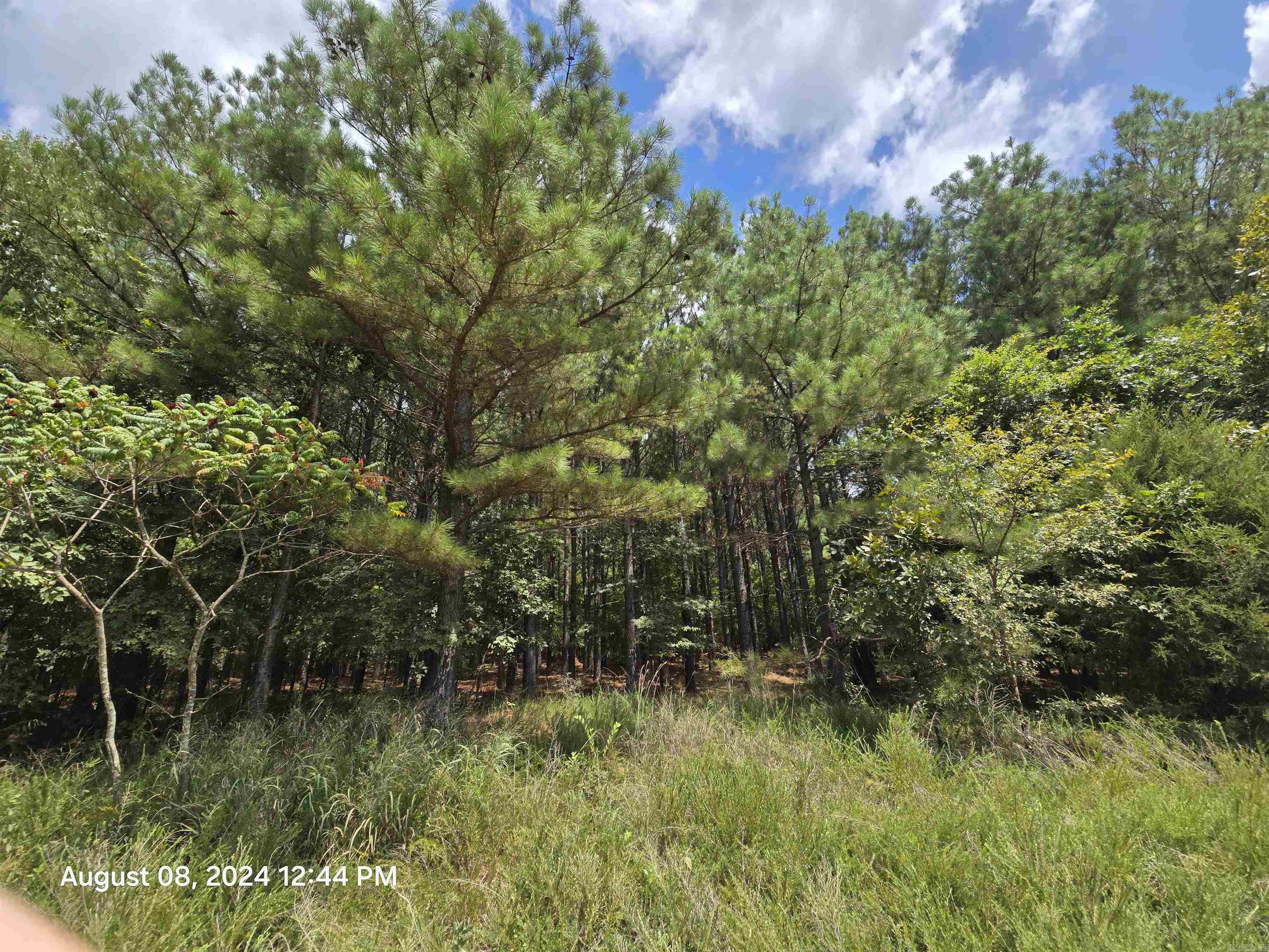 Photo 14 - Vacant Land for sale – 0  Goat Neck   Bradford, AR