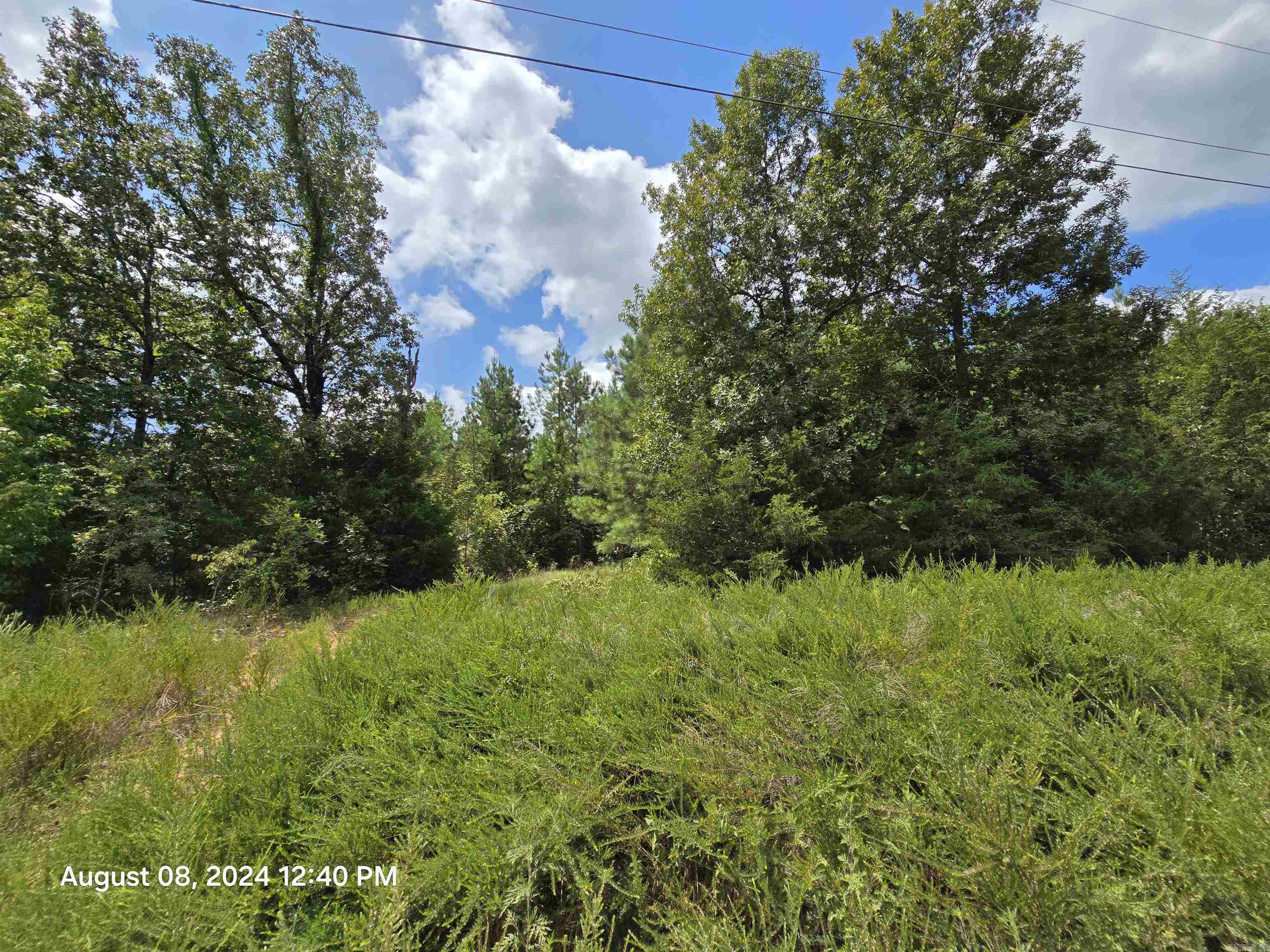 Photo 15 - Vacant Land for sale – 0  Goat Neck   Bradford, AR