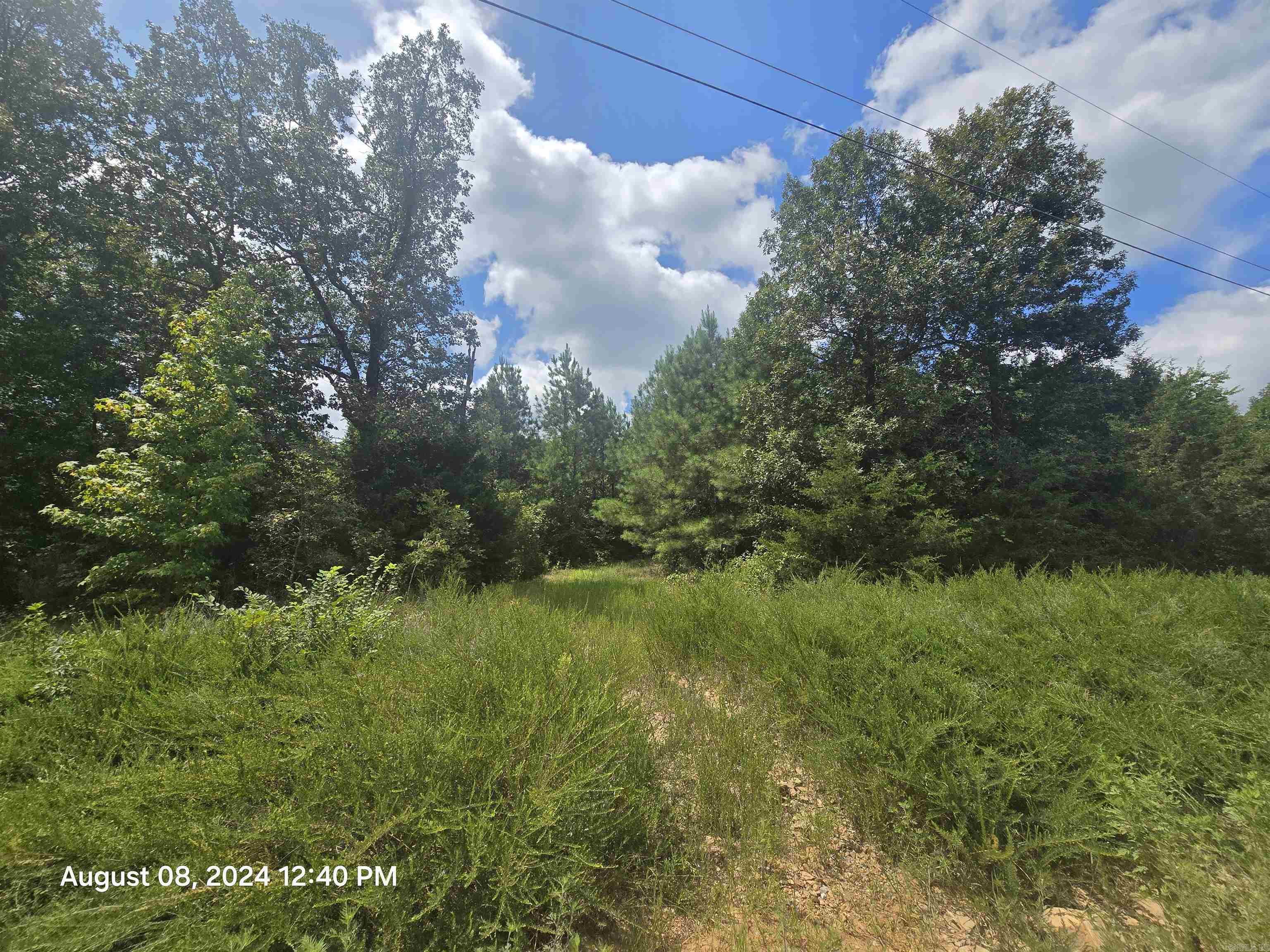 Photo 17 - Vacant Land for sale – 0  Goat Neck   Bradford, AR